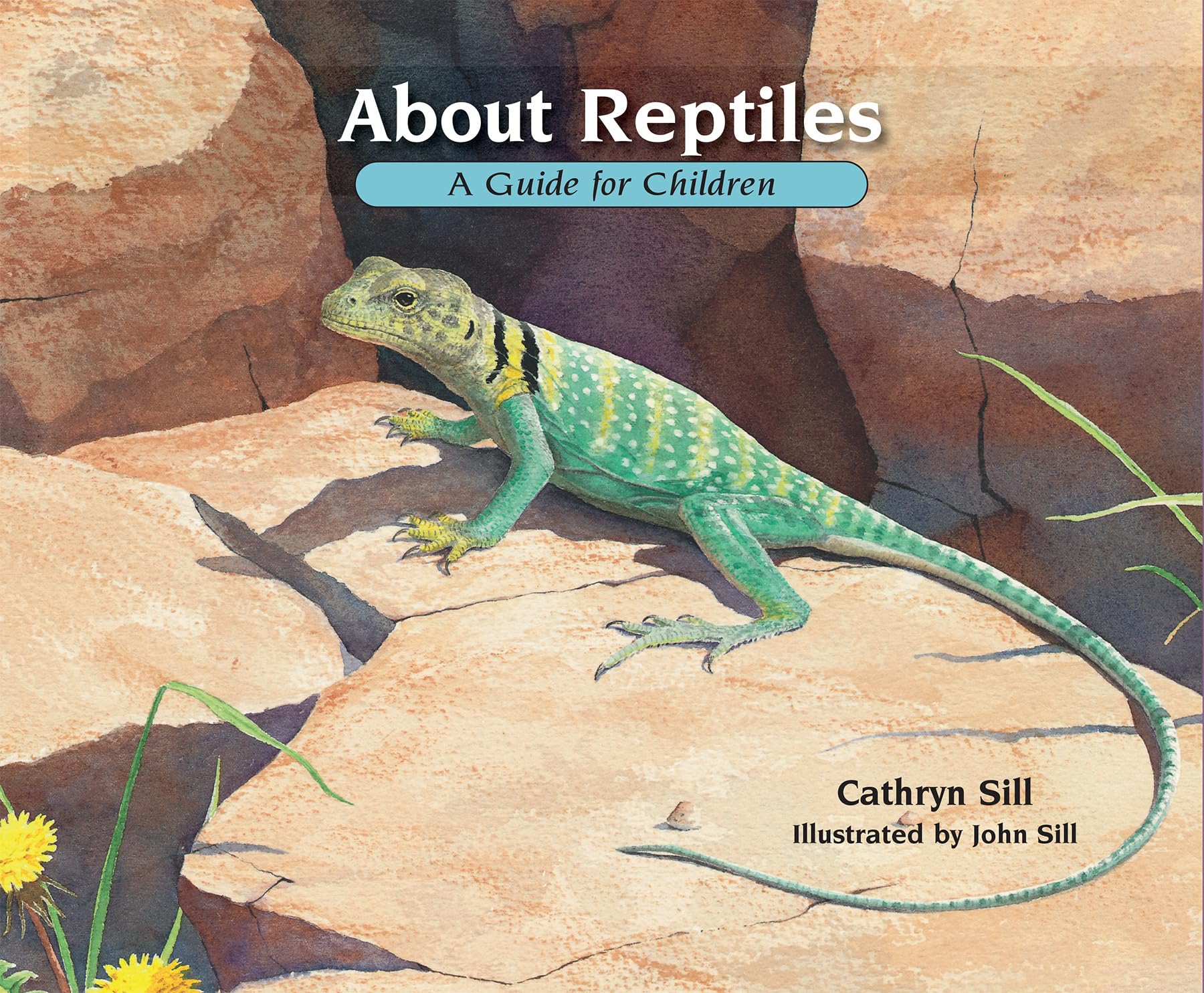 About Reptiles: A Guide for Children,Used