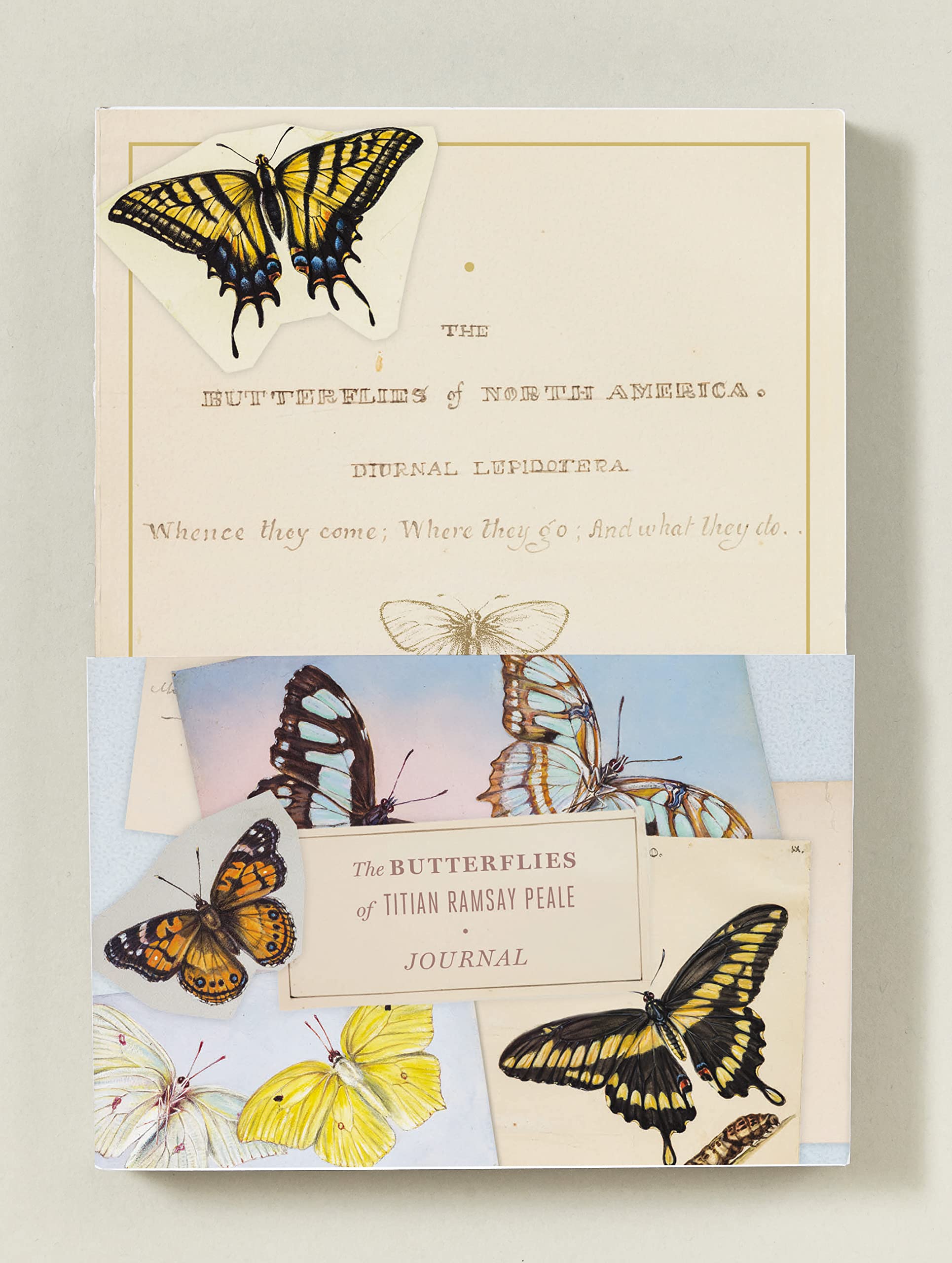 The Butterflies Of Titian Ramsay Peale Journal