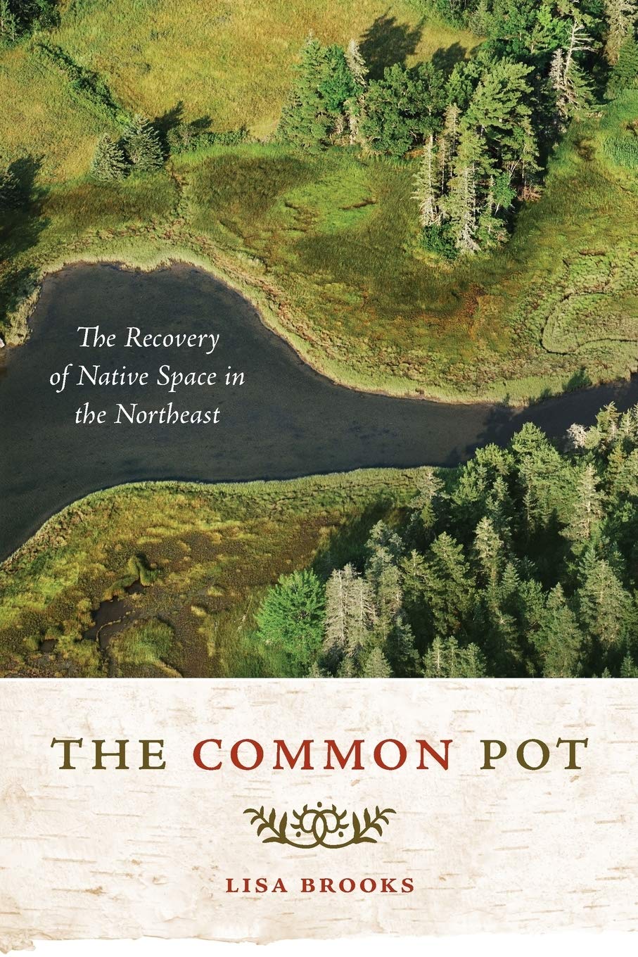 The Common Pot: The Recovery Of Native Space In The Northeast (Indigenous Americas),Used