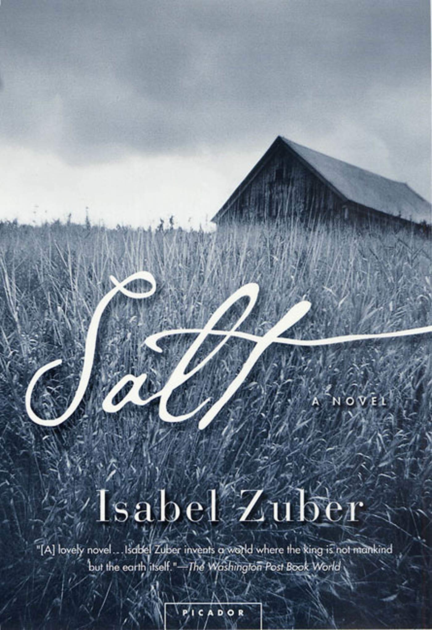 Salt: A Novel,Used