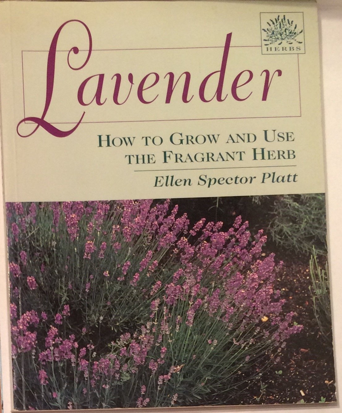 Lavender: How to Grow and Use the Fragrant Herb,Used