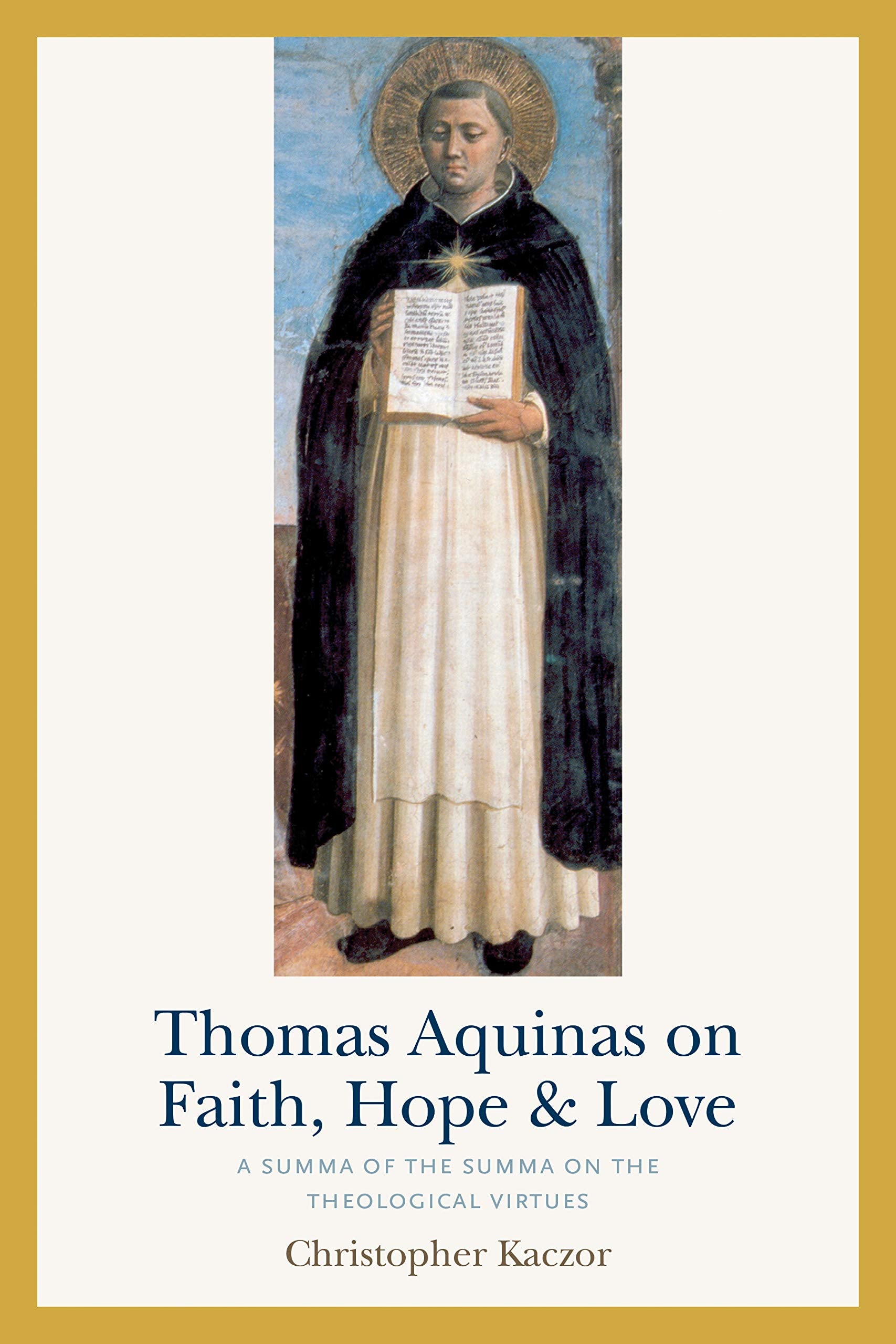 Thomas Aquinas On Faith, Hope, And Love: A Summa Of The Summa On The Theological Virtues,Used