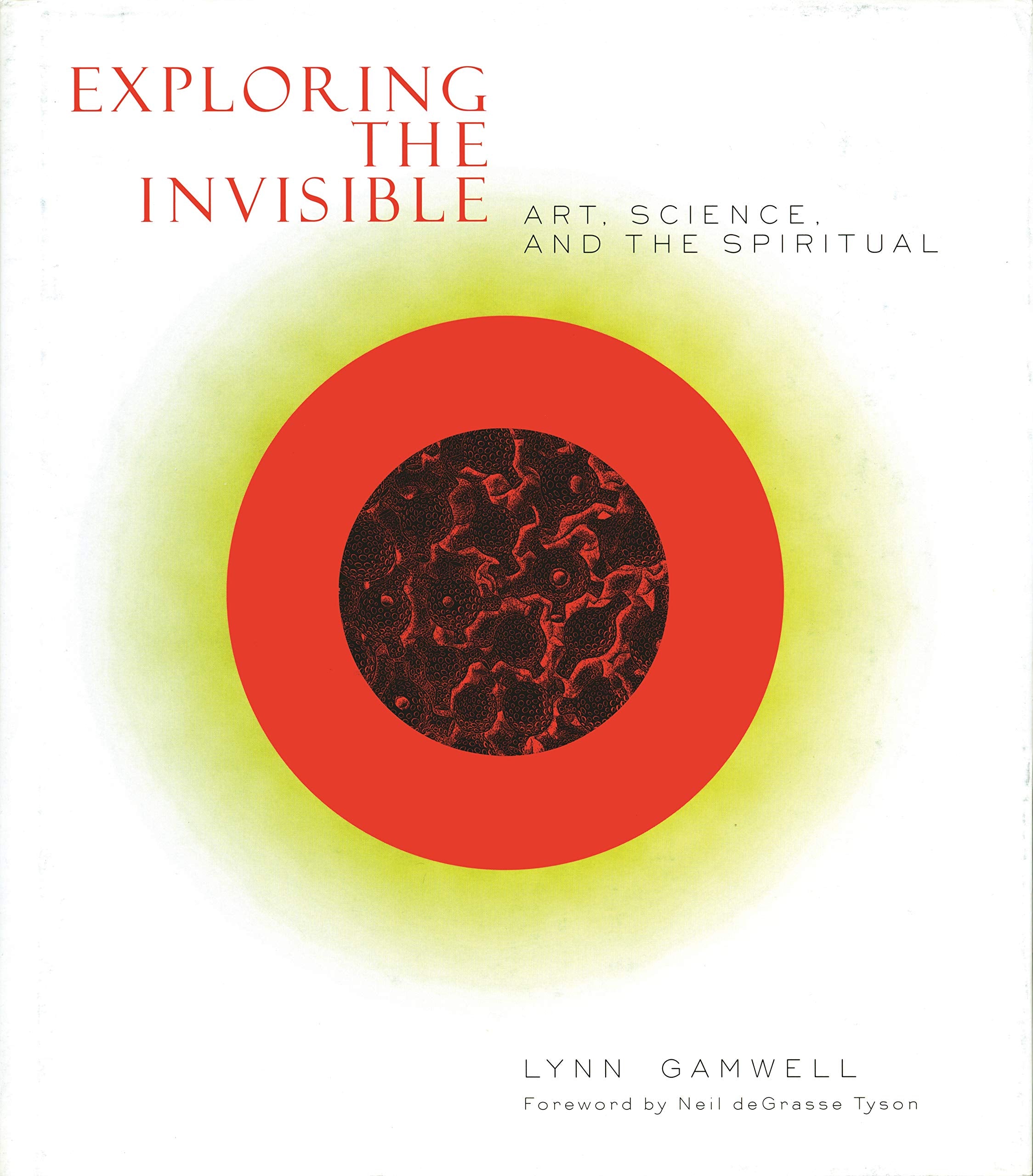 Exploring the Invisible: Art, Science, and the Spiritual Second Edition,Used