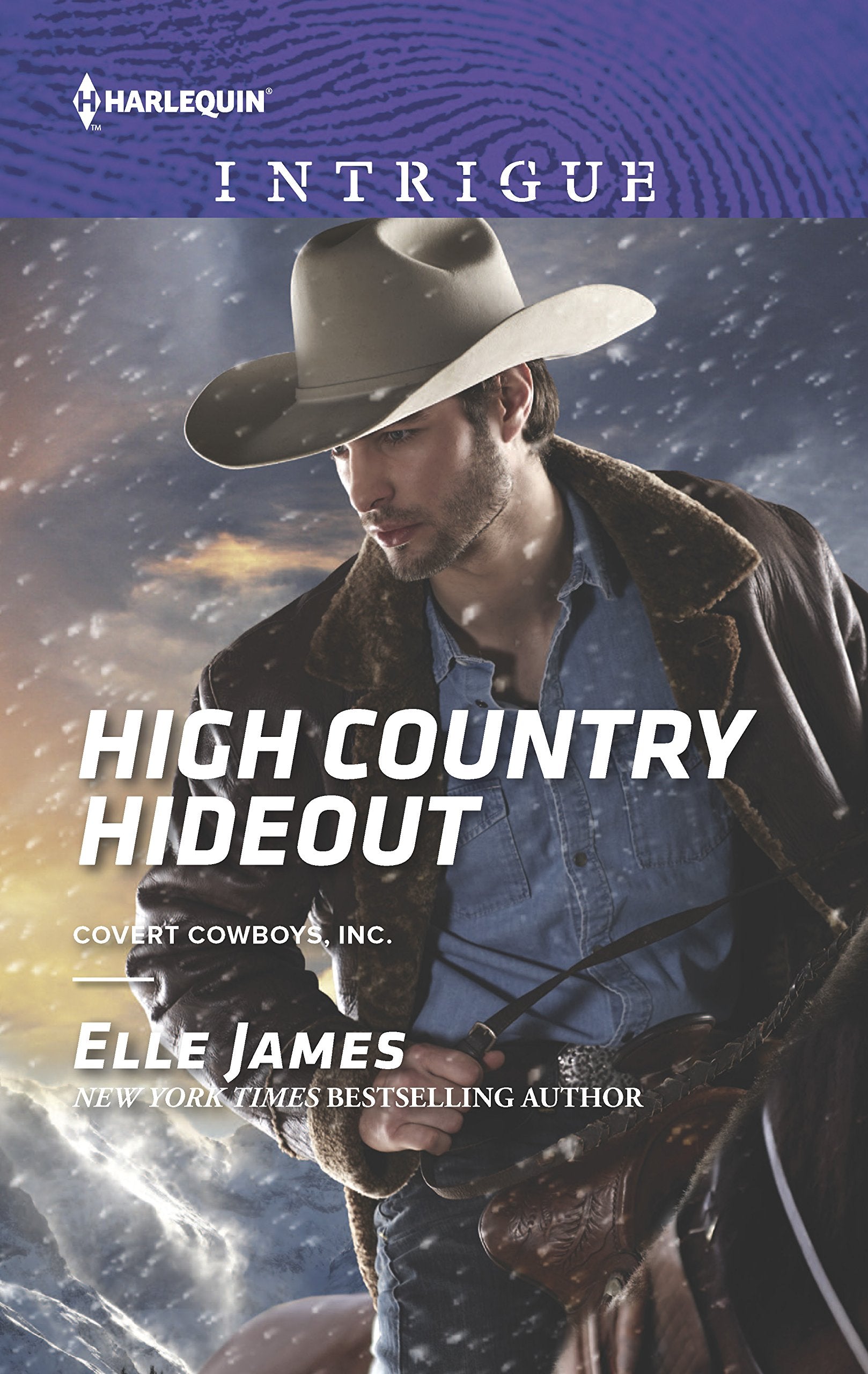 High Country Hideout (Covert Cowboys, Inc., 5),Used