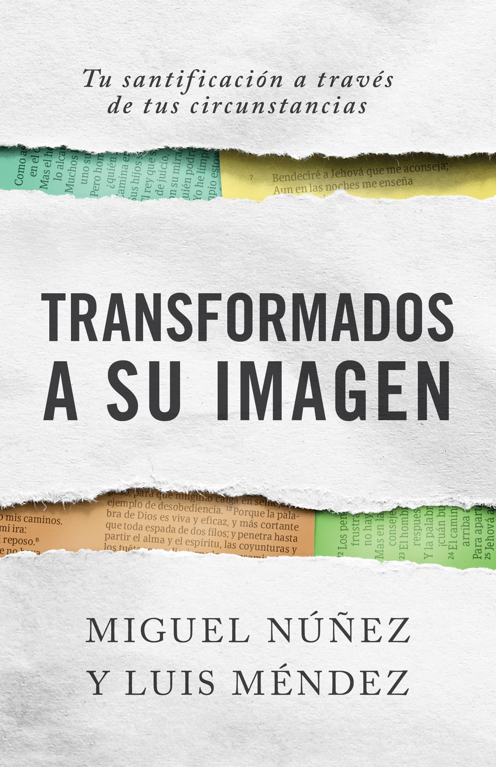 Transformados a Su imagen Transformed into His image (Spanish Edition),Used