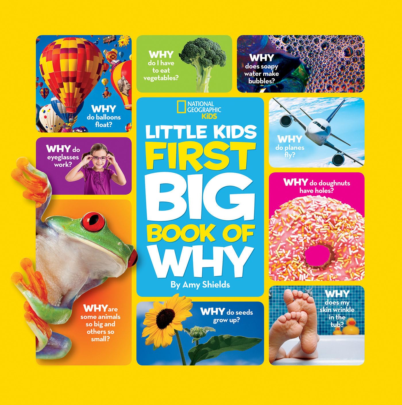 National Geographic Little Kids First Big Book of Why (National Geographic Little Kids First Big Books),Used