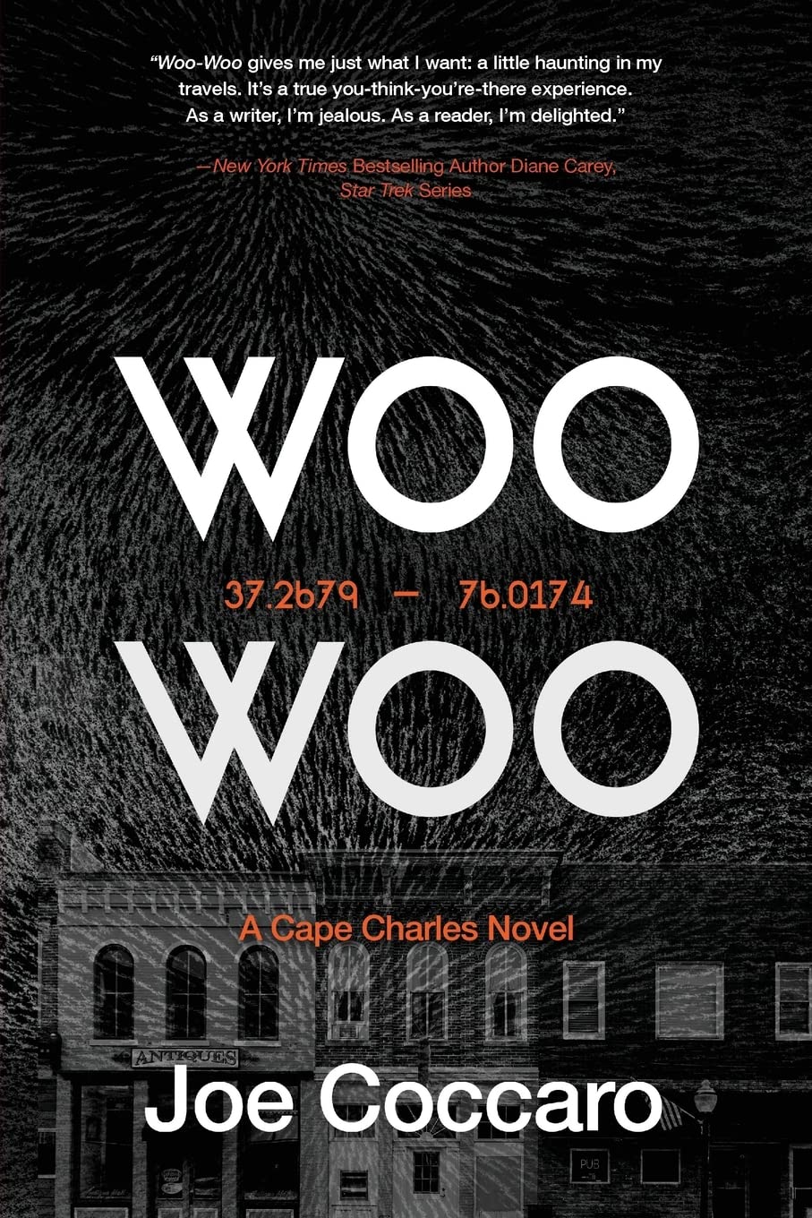 Woo Woo: A Cape Charles Novel,Used