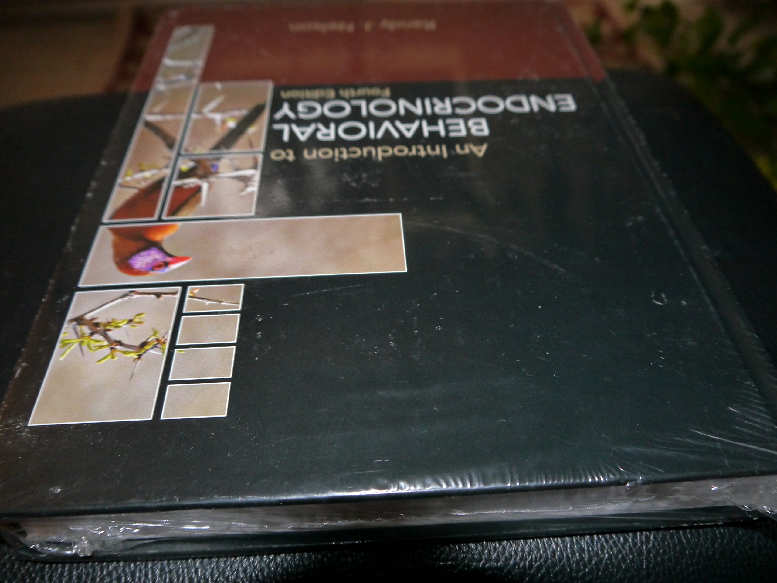 An Introduction To Behavioral Endocrinology,Used