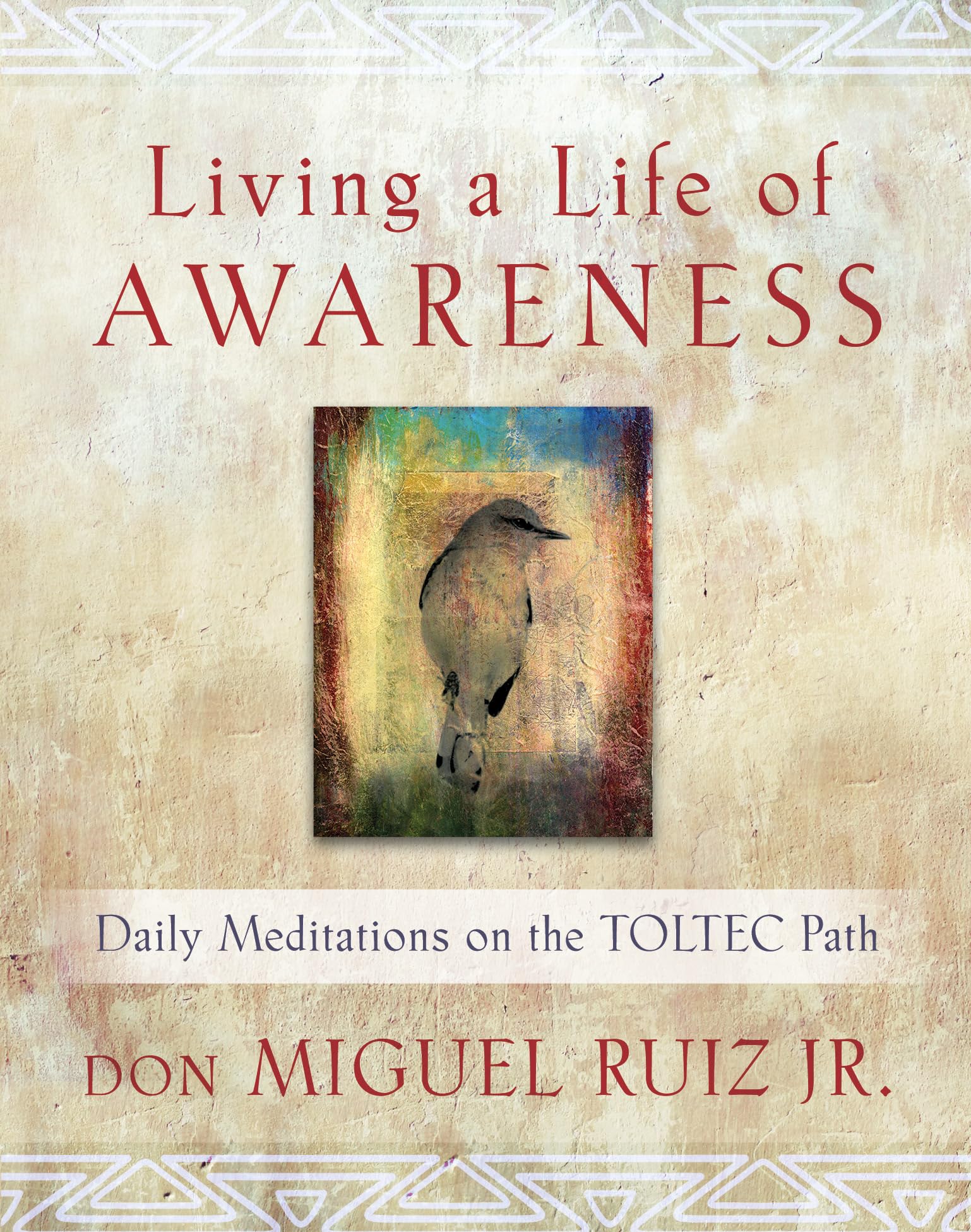 Living a Life of Awareness: Daily Meditations on the Toltec Path (Toltec Wisdom Series),Used