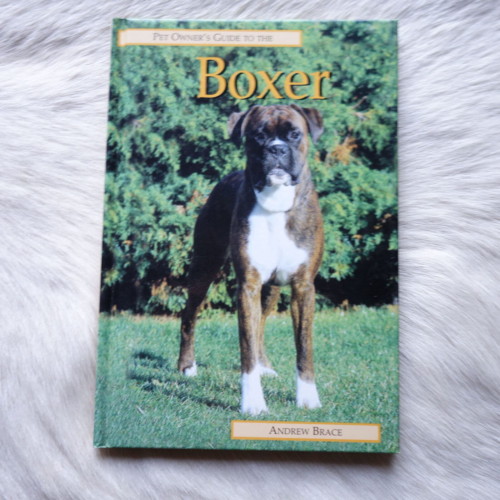 The Boxer,Used
