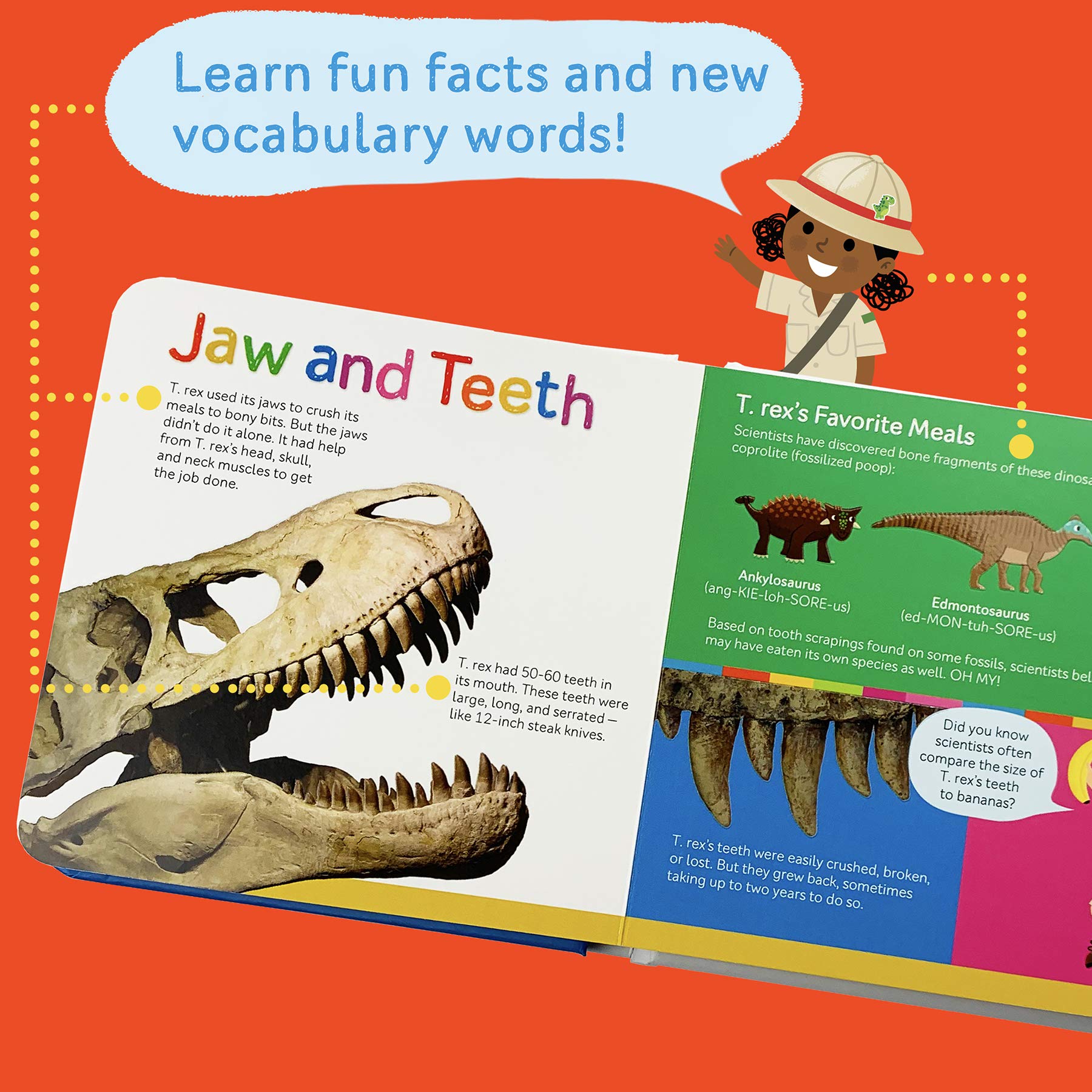 T.REX from Head to Tail (Smithsonian Kids First Discovery Books),Used