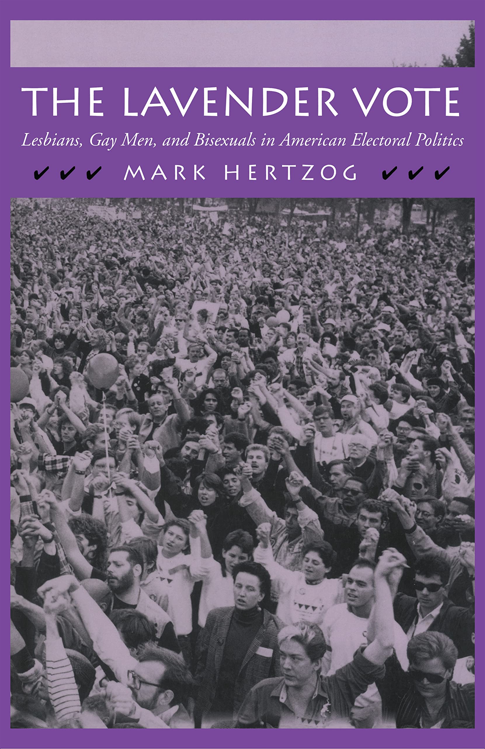 The Lavender Vote: Lesbians, Gay Men, And Bisexuals In American Electoral Politics,Used