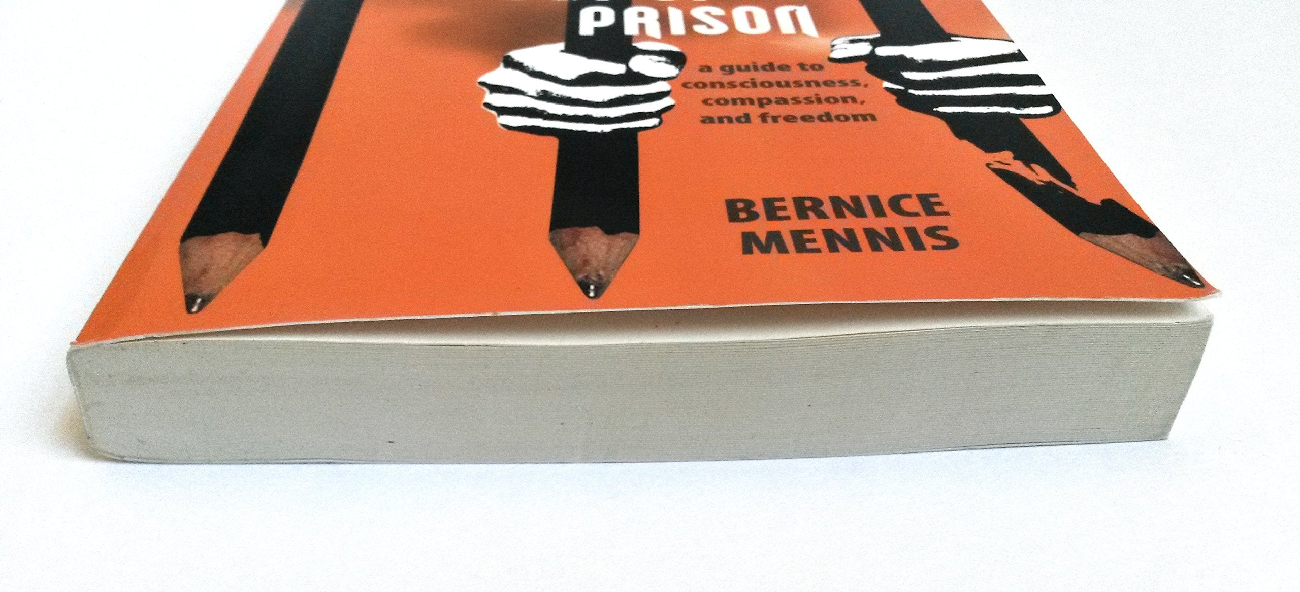 Breaking Out of Prison: A Guide to Consciousness, Compassion, and Freedom,Used