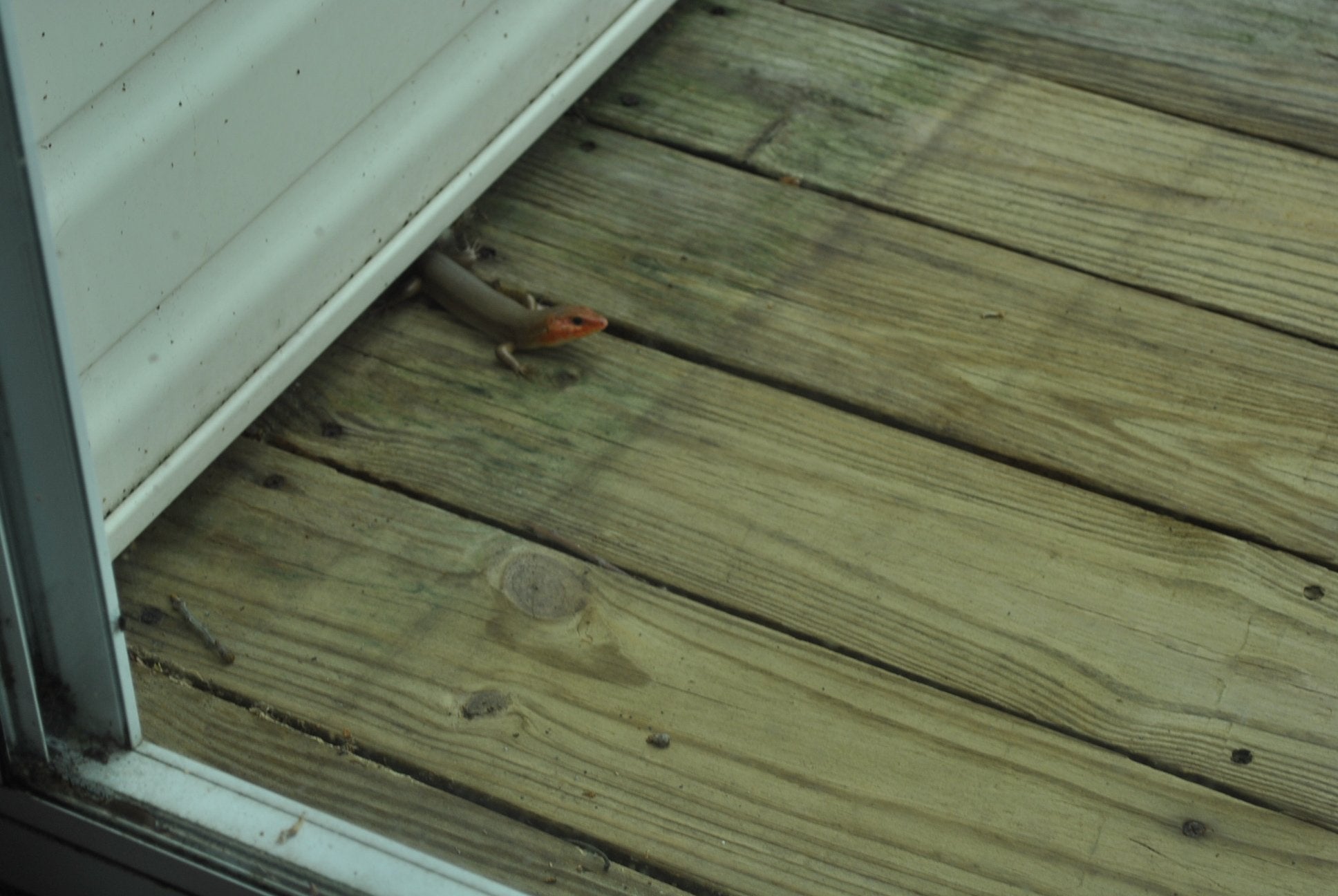 Miracle at Willowcreek,Used