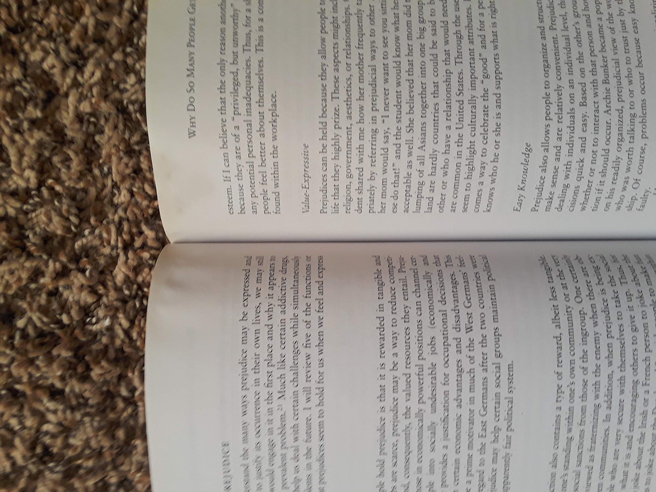Among Cultures: The Challenge of Communication (with InfoTrac),Used