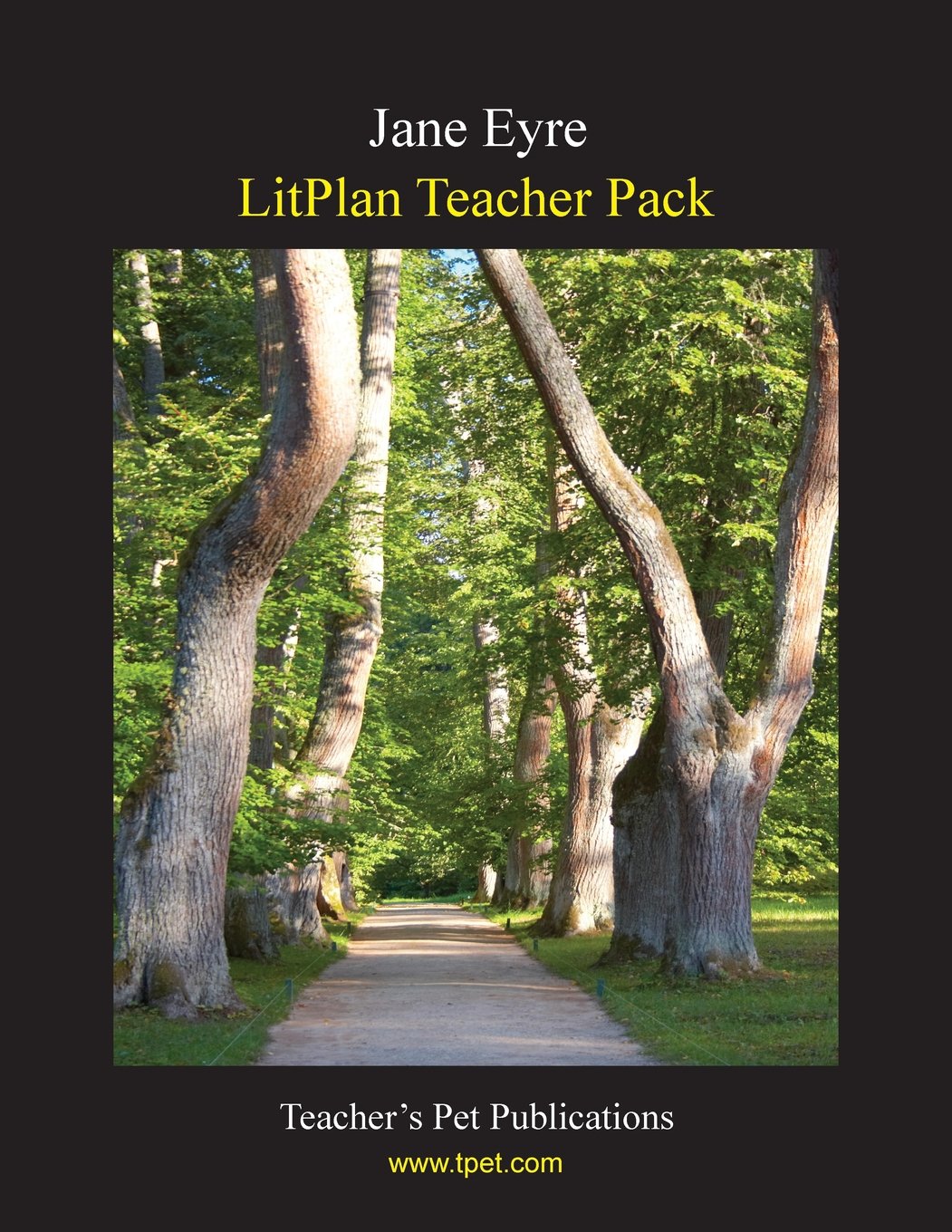 Litplan Teacher Pack: Jane Eyre,Used