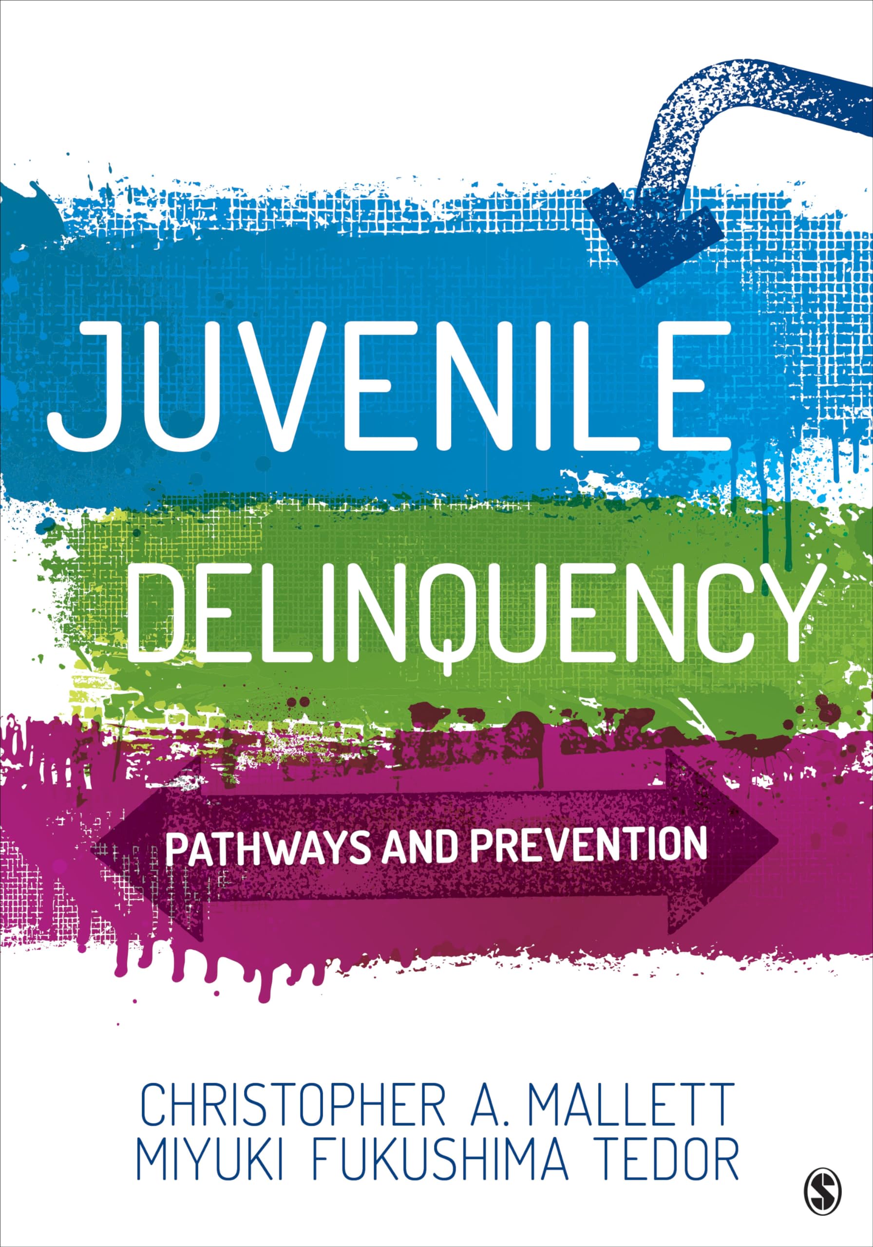 Juvenile Delinquency: Pathways and Prevention,Used