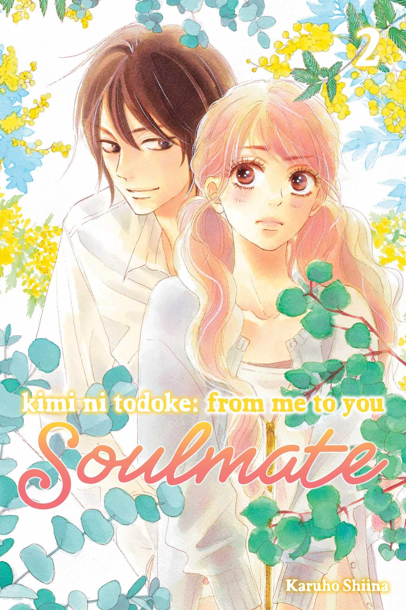 Kimi ni Todoke: From Me to You: Soulmate, Vol. 2 (2),New