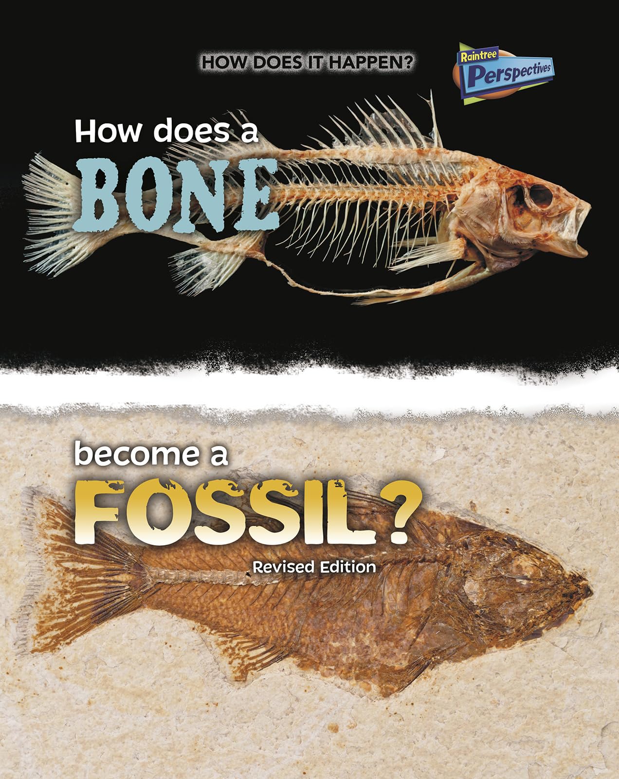 How Does a Bone Become a Fossil? (How Does It Happen),Used