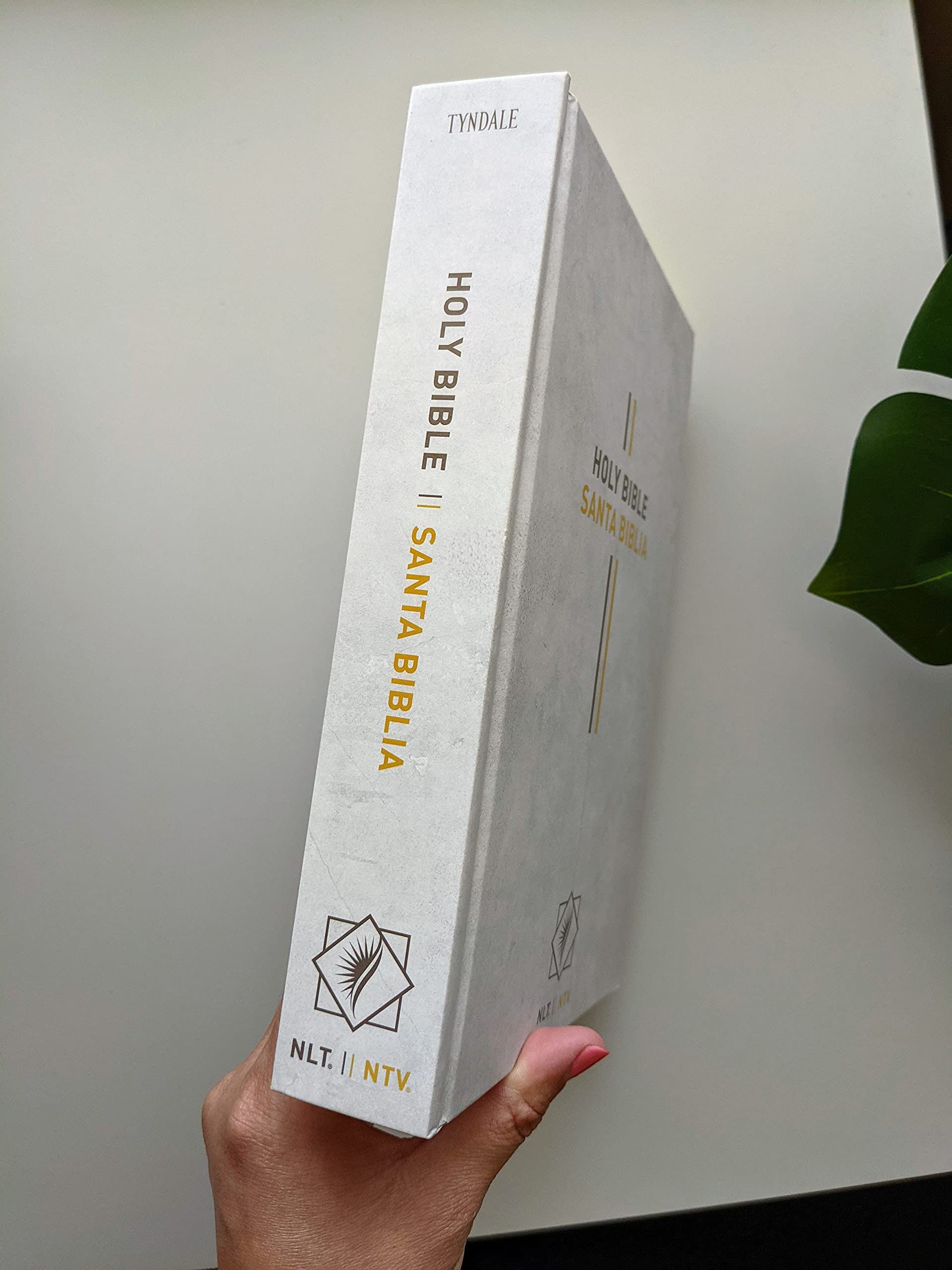Bilingual Bible / Biblia biling?e NLT/NTV (Hardcover, Gray),Used