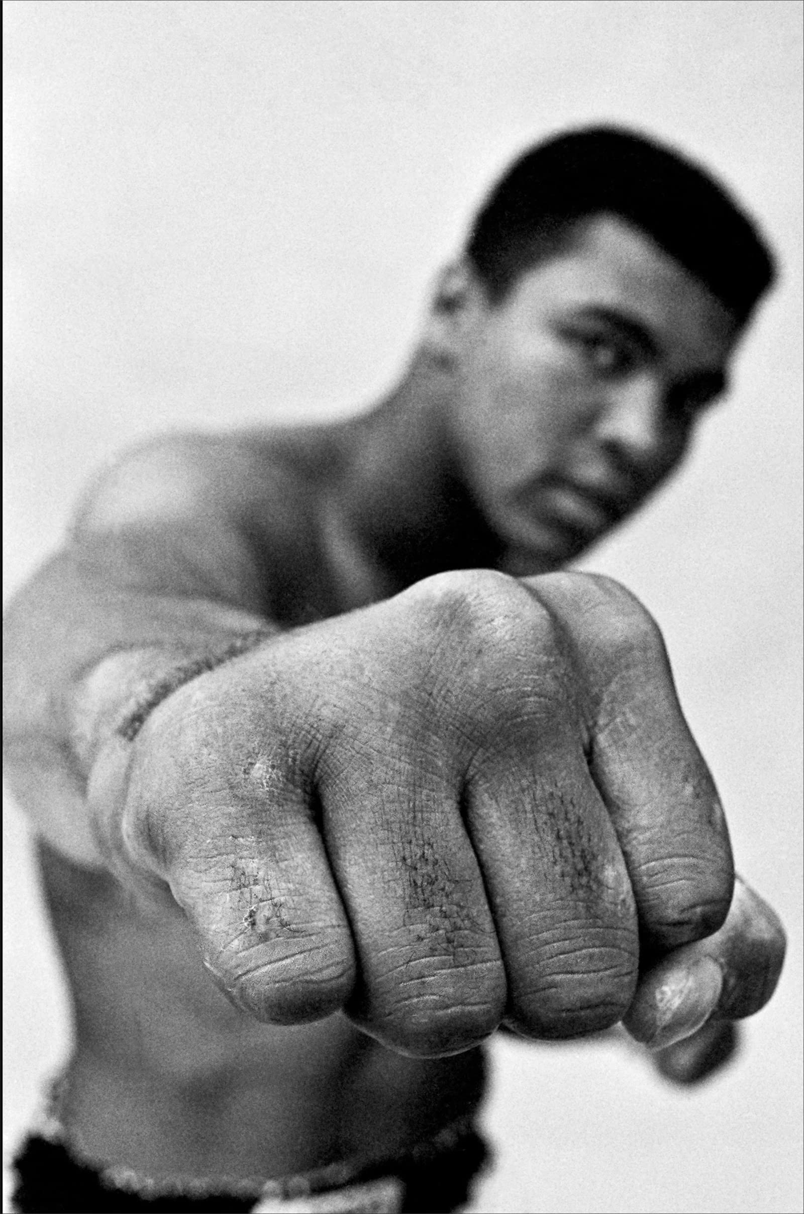 Ali: A Life,Used