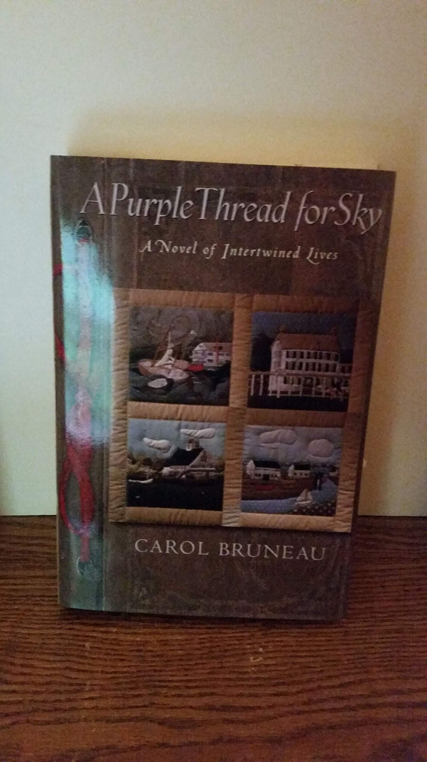 A Purple Thread for Sky: A Novel of Intertwined Lives,Used