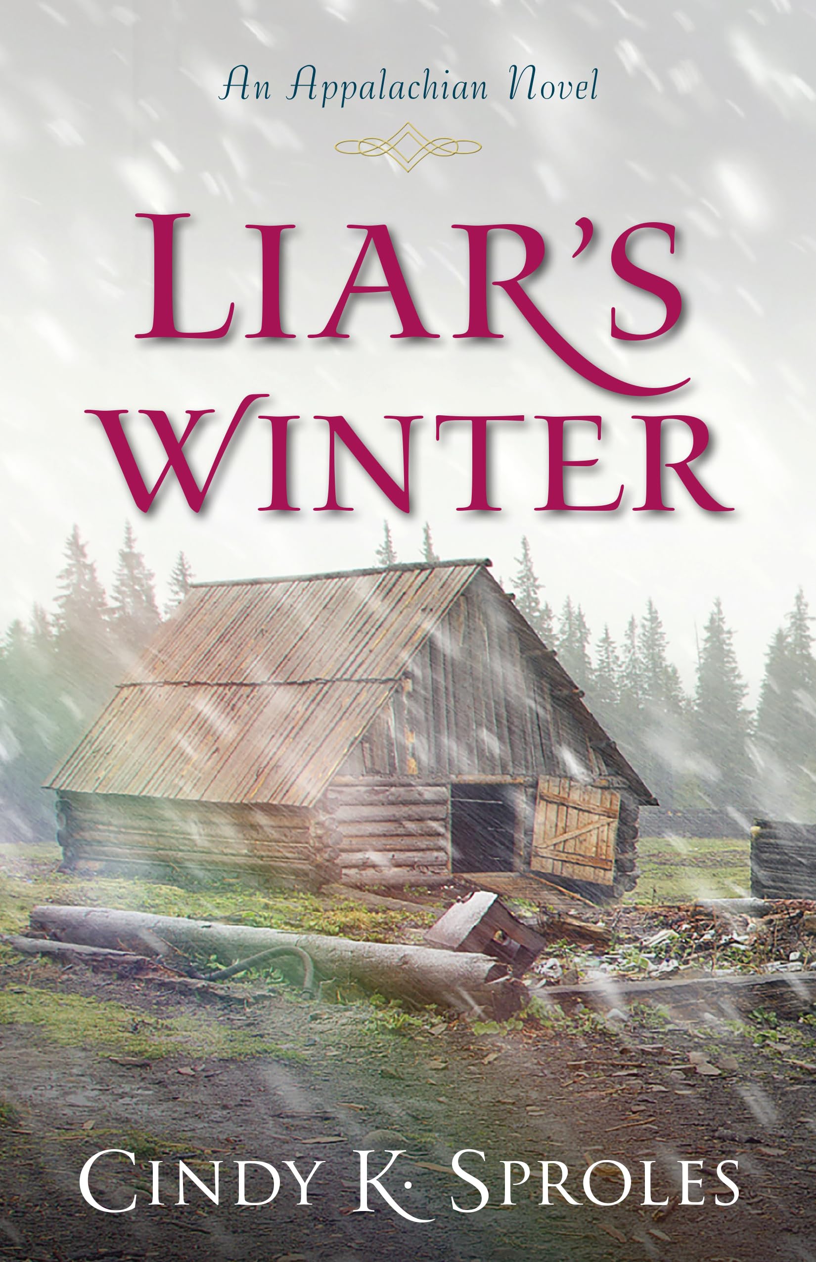 Liar's Winter: An Appalachian Novel,Used