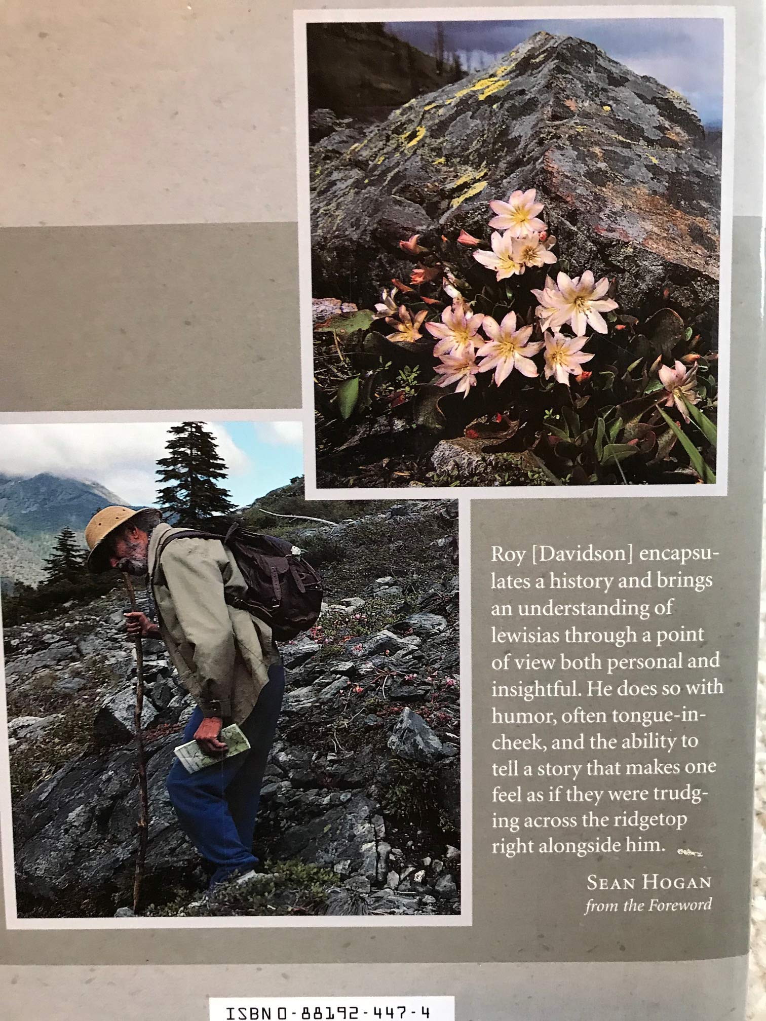 Lewisias,Used