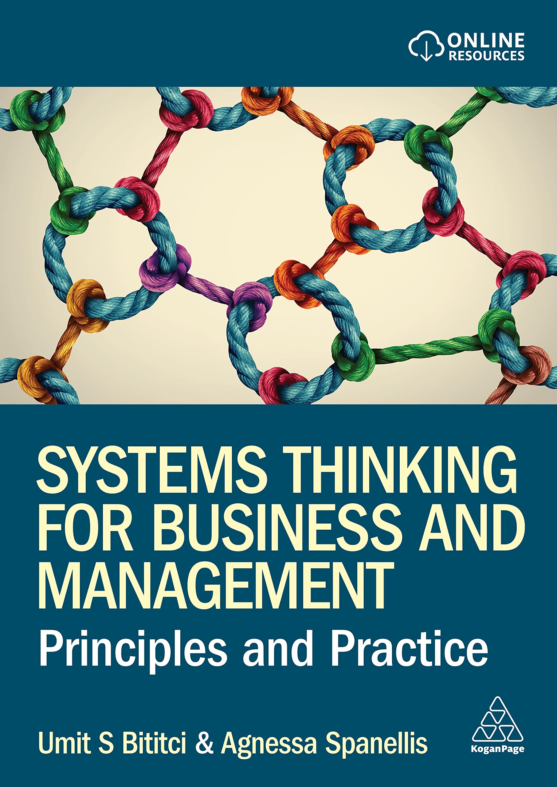 Systems Thinking for Business and Management: Principles and Practice,Used
