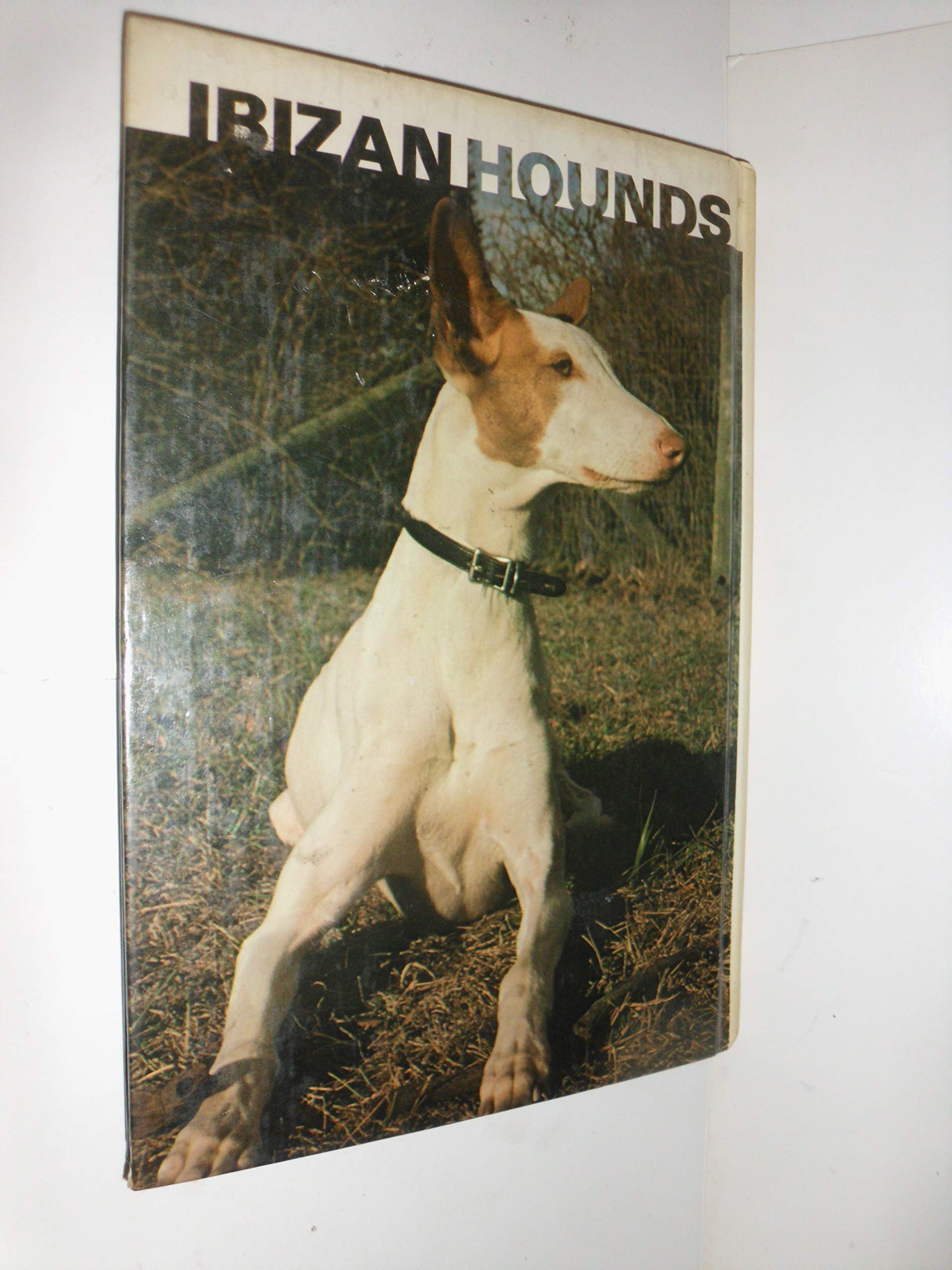 Ibizan Hounds/Kw060,Used