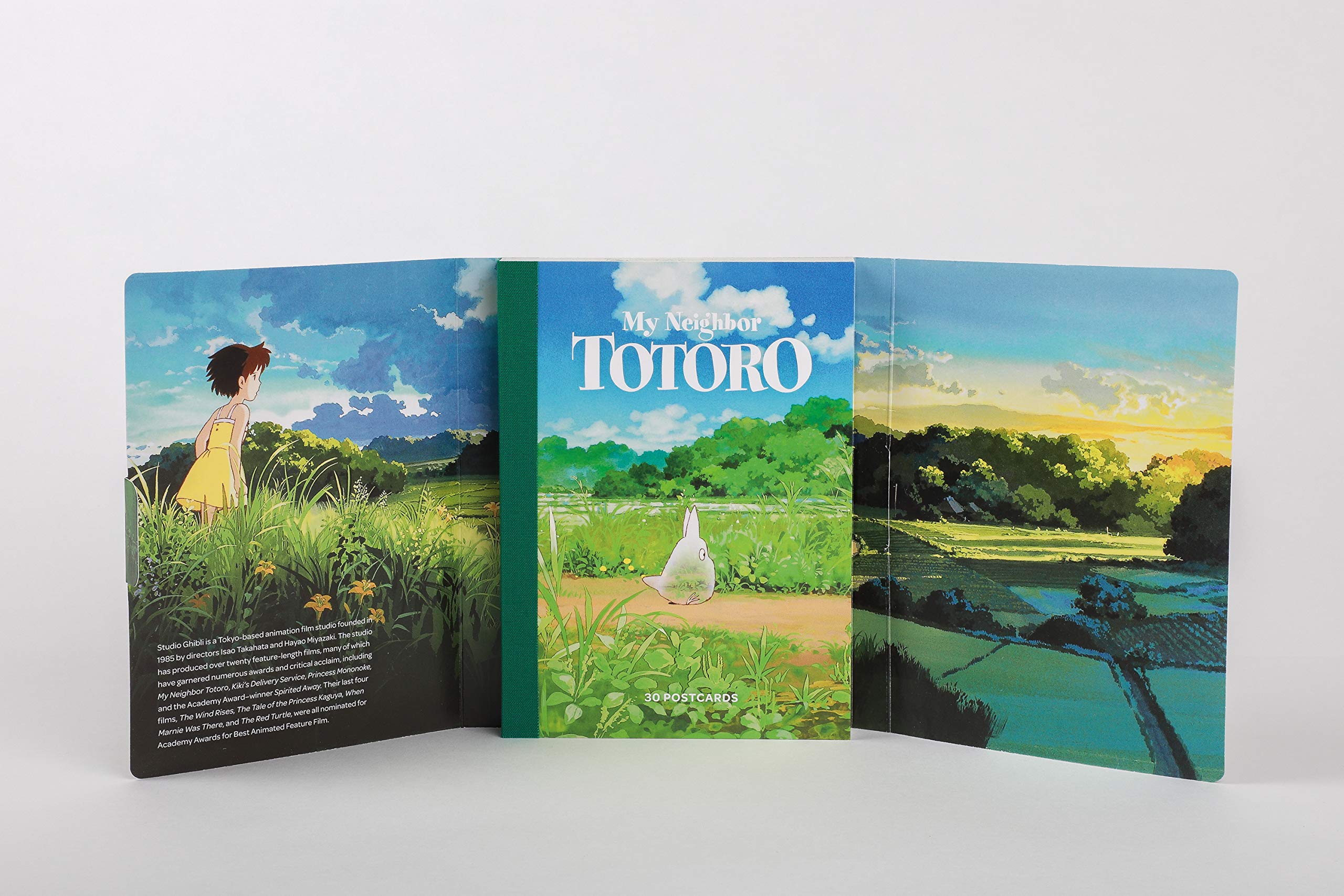 My Neighbor Totoro: 30 Postcards: (Anime Postcards, Japanese Animation Art Cards),New