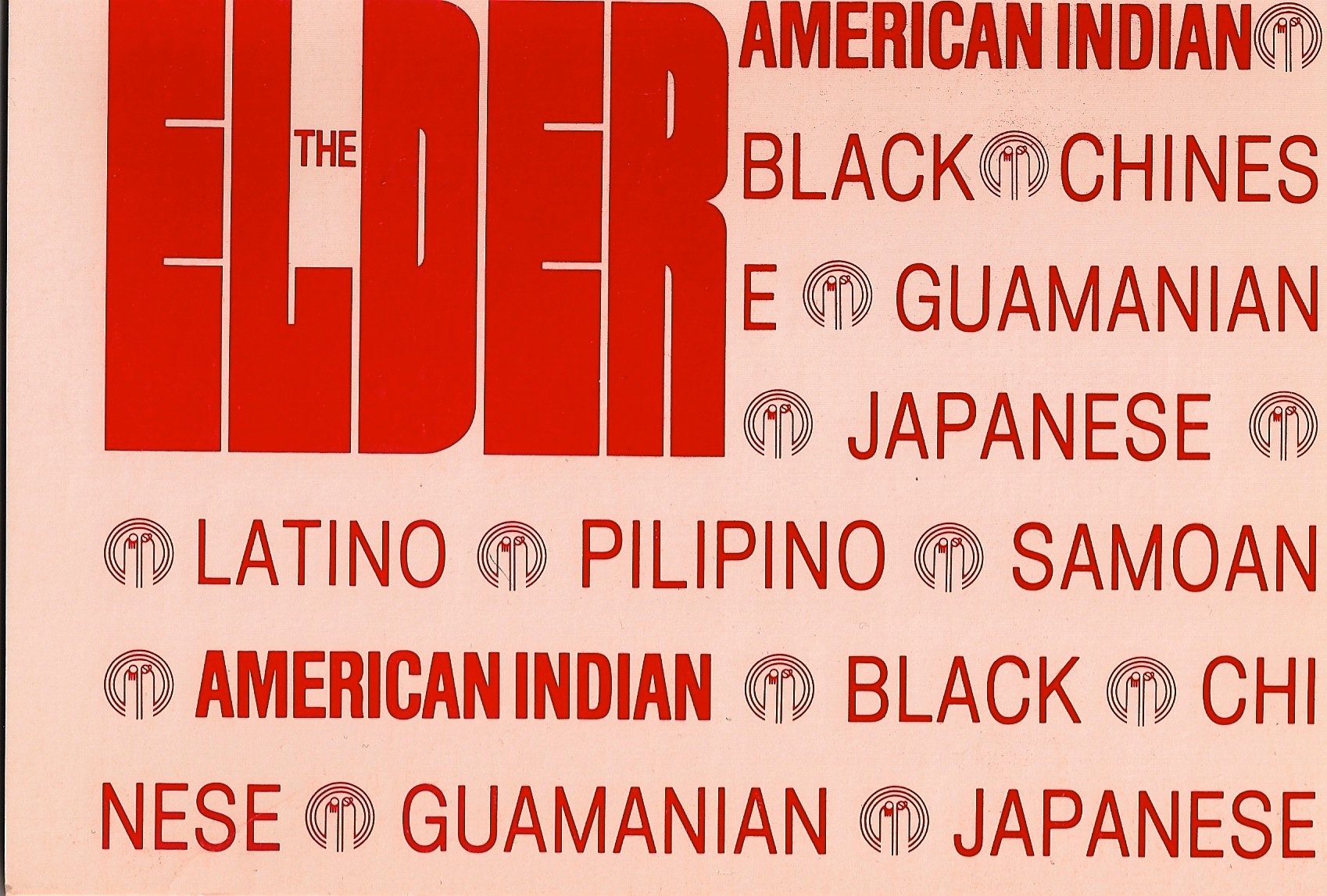 The Elder American Indian (Minority Elder Series),Used