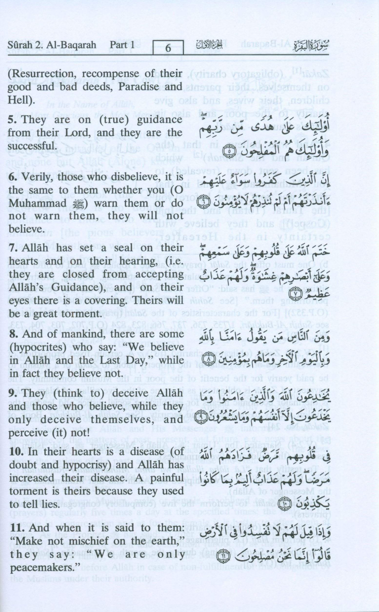 The Noble Quran: Interpretation of the Meanings of the Noble Qur'an in the English Language (English and Arabic Edition),Used