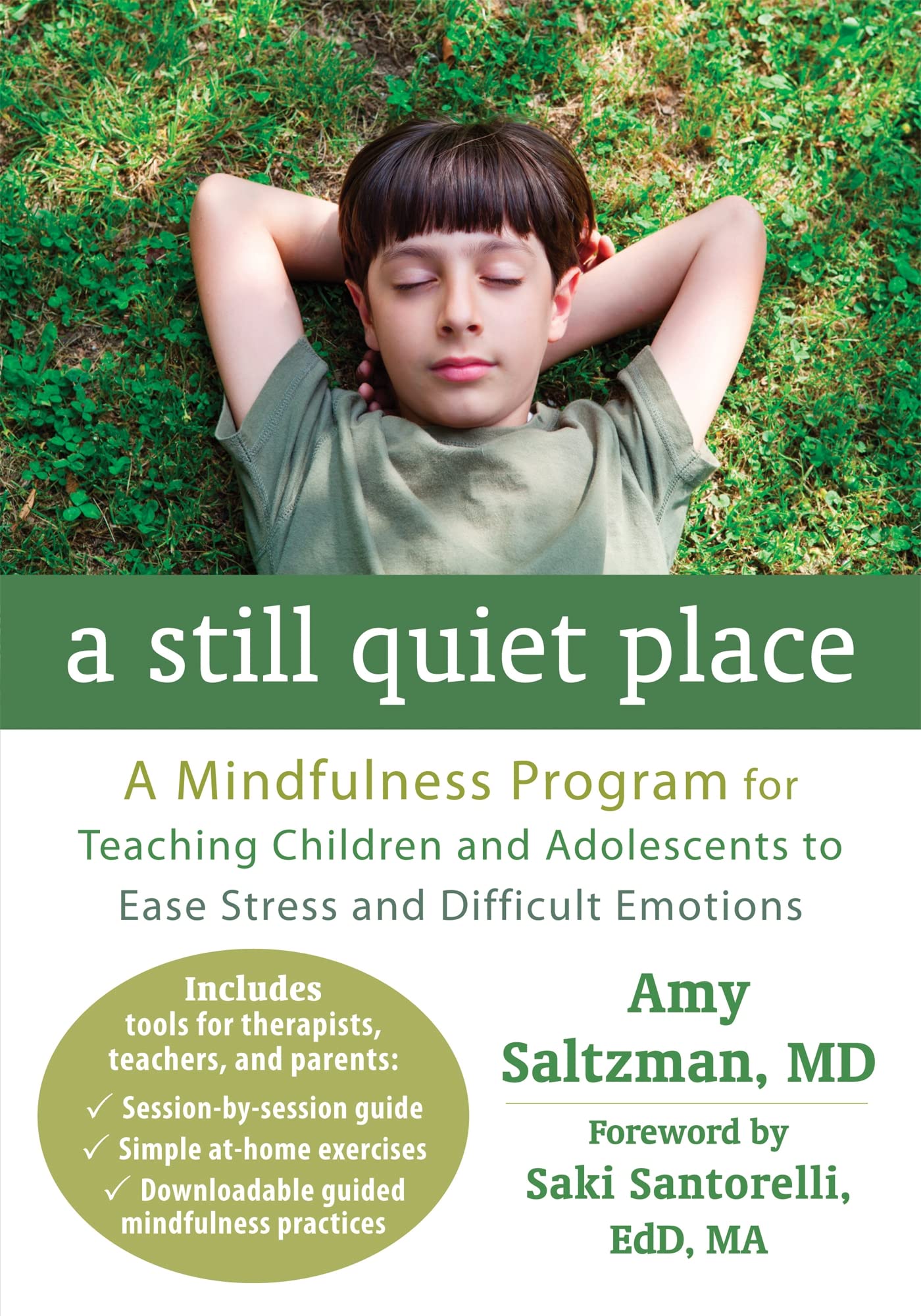 A Still Quiet Place: A Mindfulness Program For Teaching Children And Adolescents To Ease Stress And Difficult Emotions