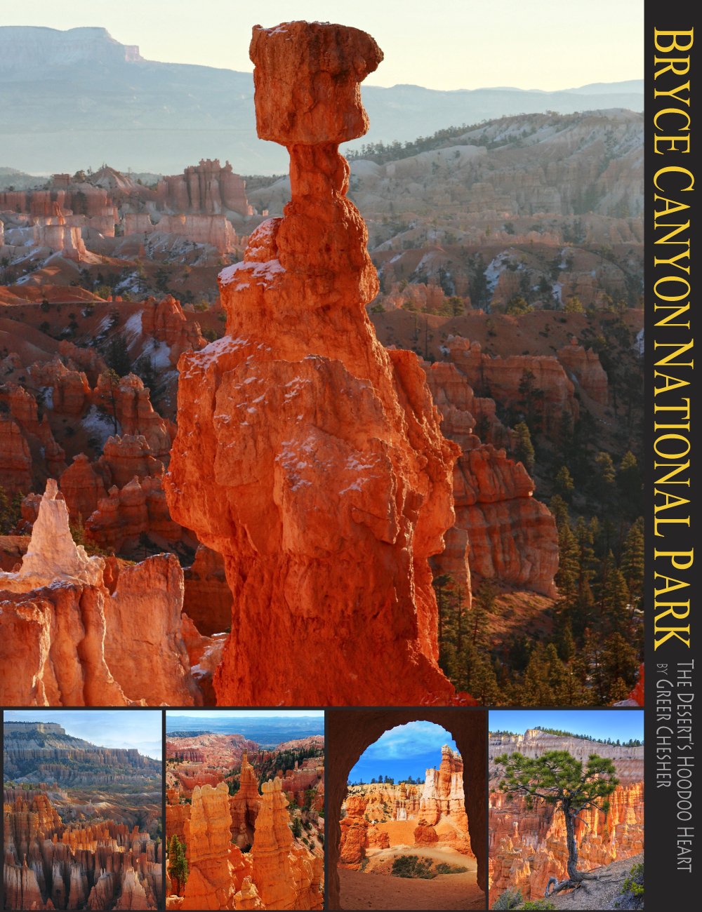 Bryce Canyon National Park: The Desert's Hoodoo Heart (A 10x13 Book) (Coffee Table Series),Used
