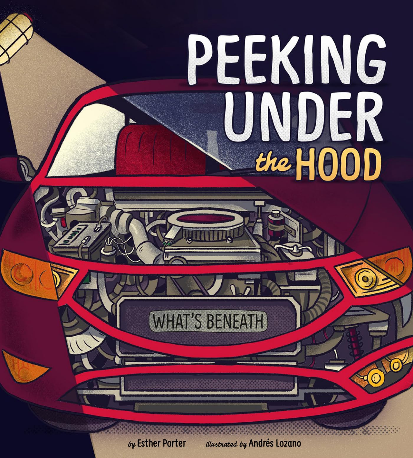 Peeking Under the Hood (What's Beneath),Used