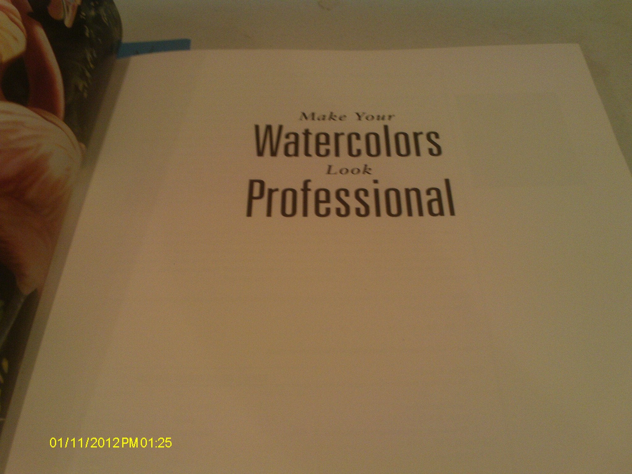 Make Your Watercolors Look Professional,Used