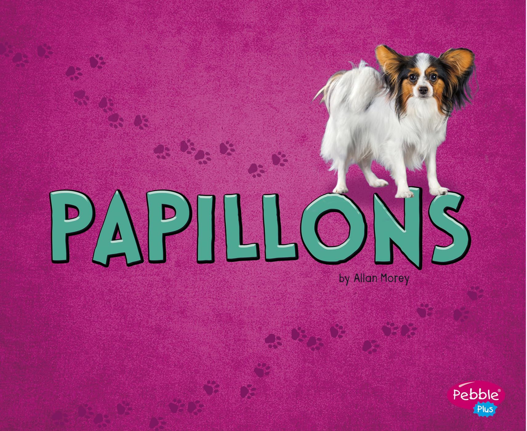 Papillons (Tiny Dogs),Used
