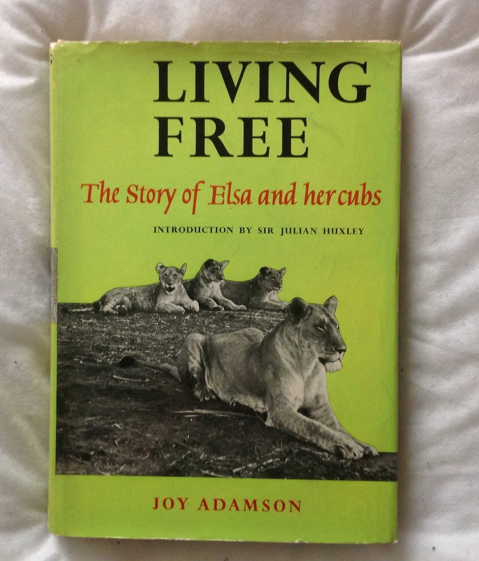 Living Free: The Story of Elsa and Her Cubs,Used
