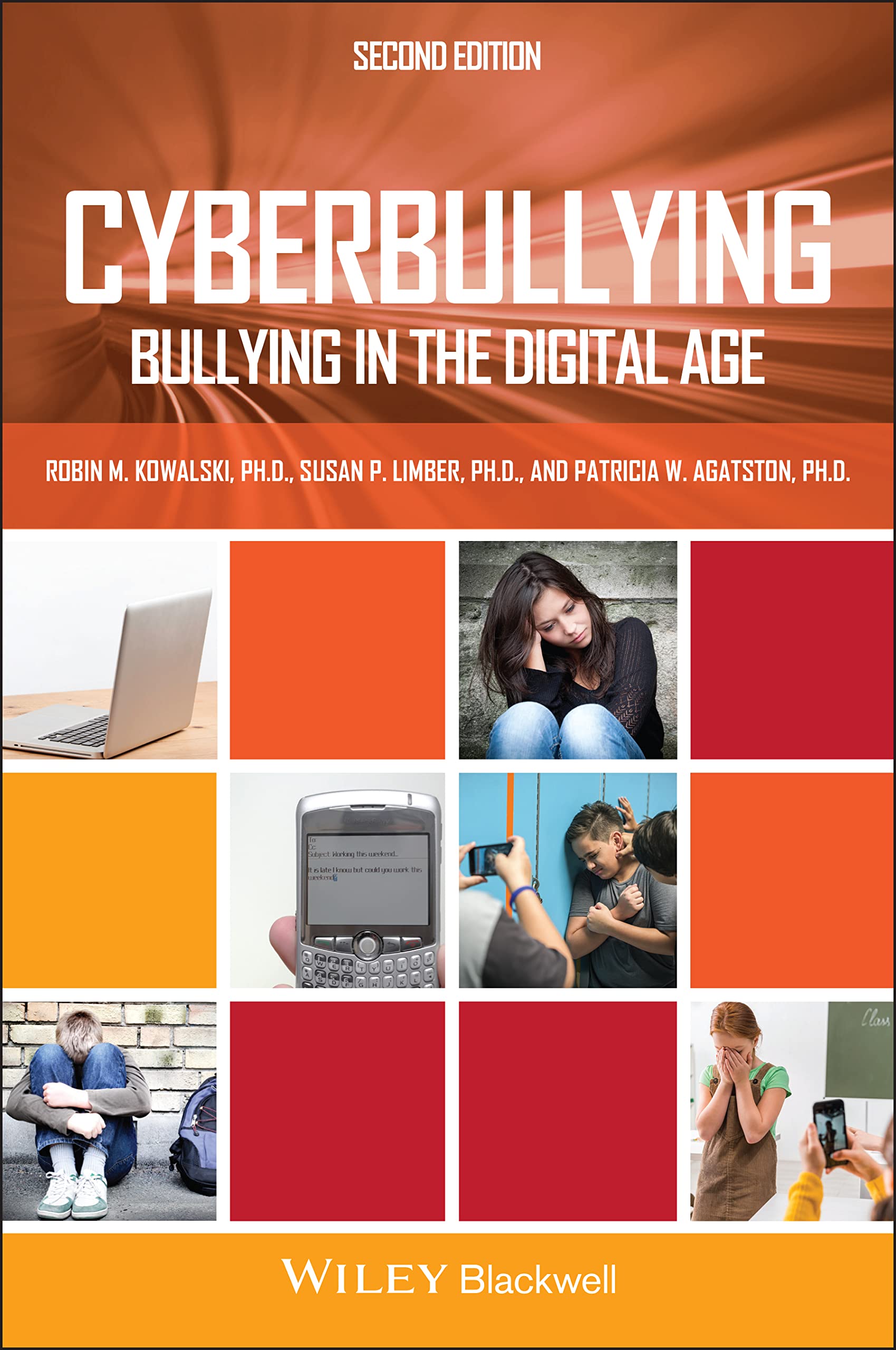 Cyberbullying: Bullying In The Digital Age,Used