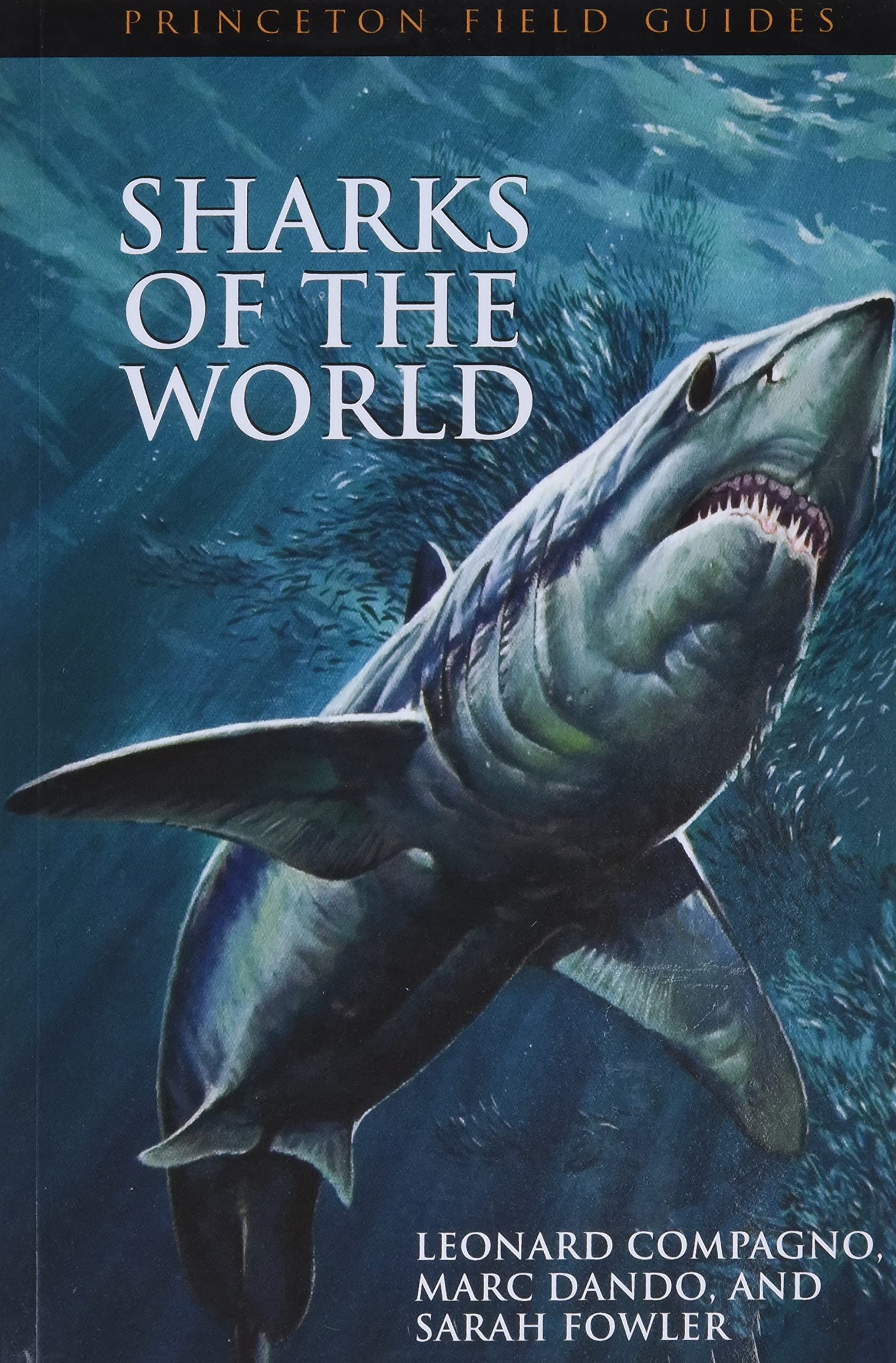 Sharks of the World (Princeton Field Guides, 34),New