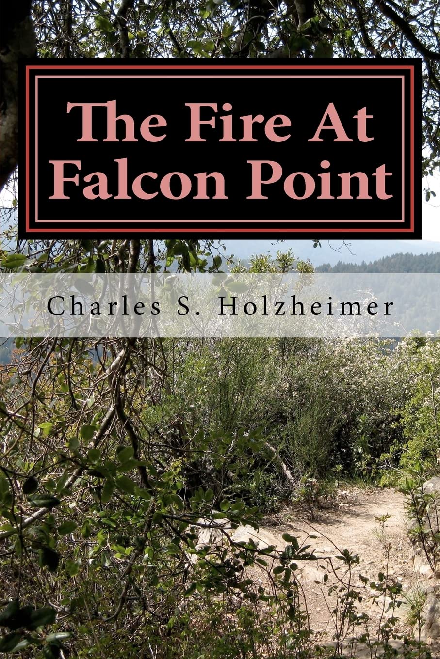 The Fire At Falcon Point,Used