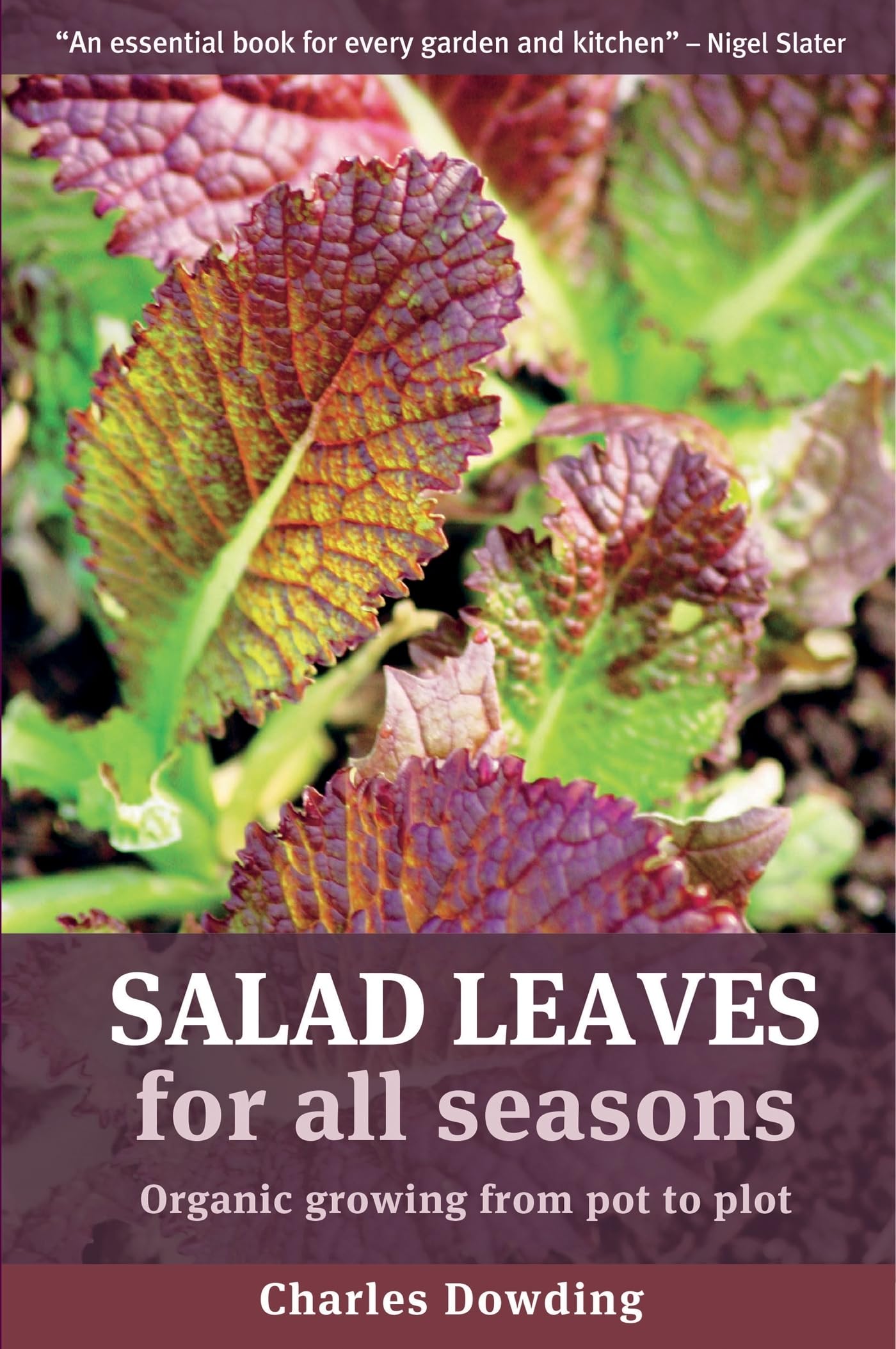 Salad Leaves For All Seasons: Organic Growing From Pot To Plot,New