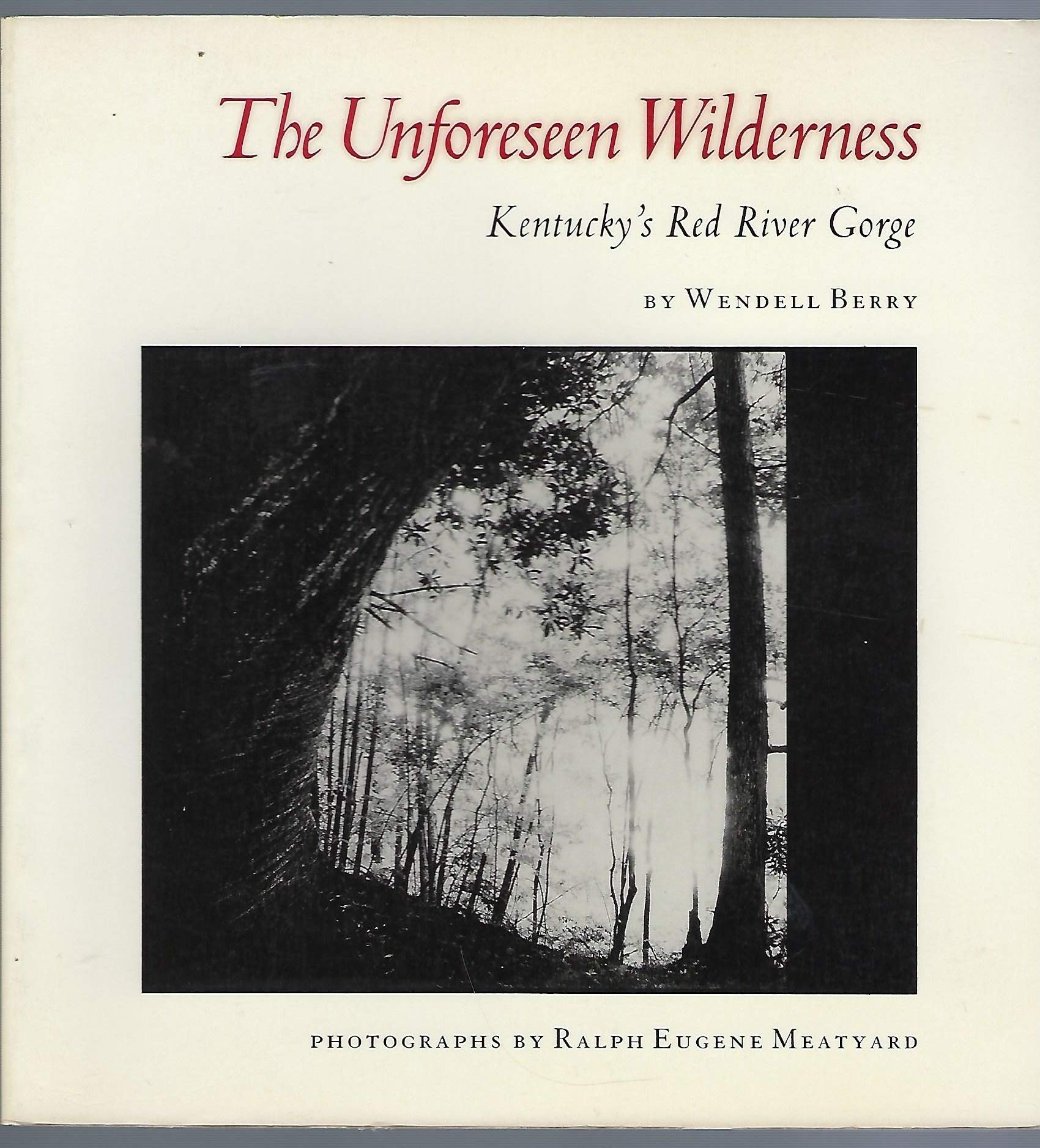 The Unforeseen Wilderness: Kentucky'S Red River Gorge,Used