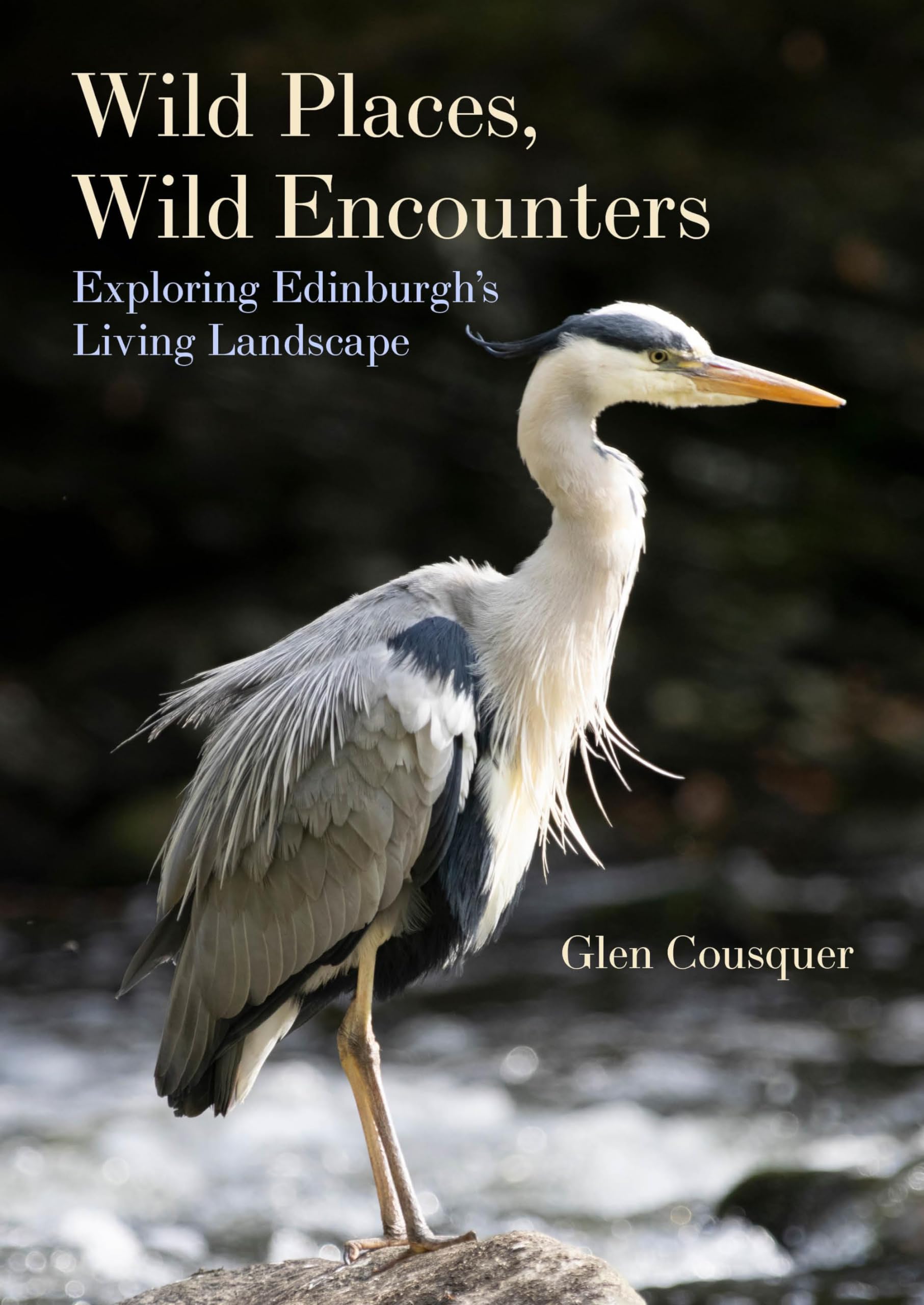 Wild Places, Wild Encounters: Exploring Edinburgh's Living Landscapes,New