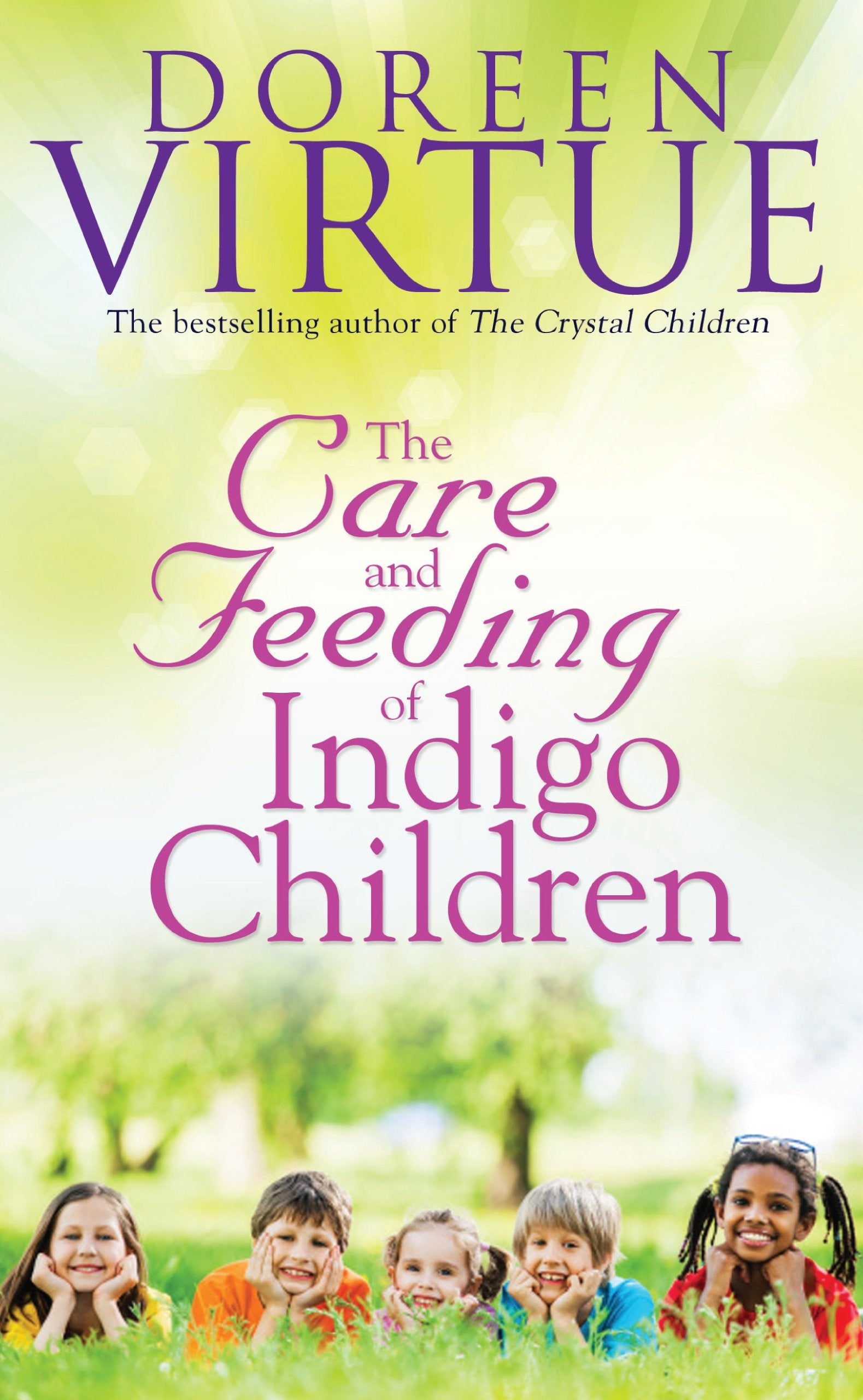 Care and Feeding of Indigo Children,Used