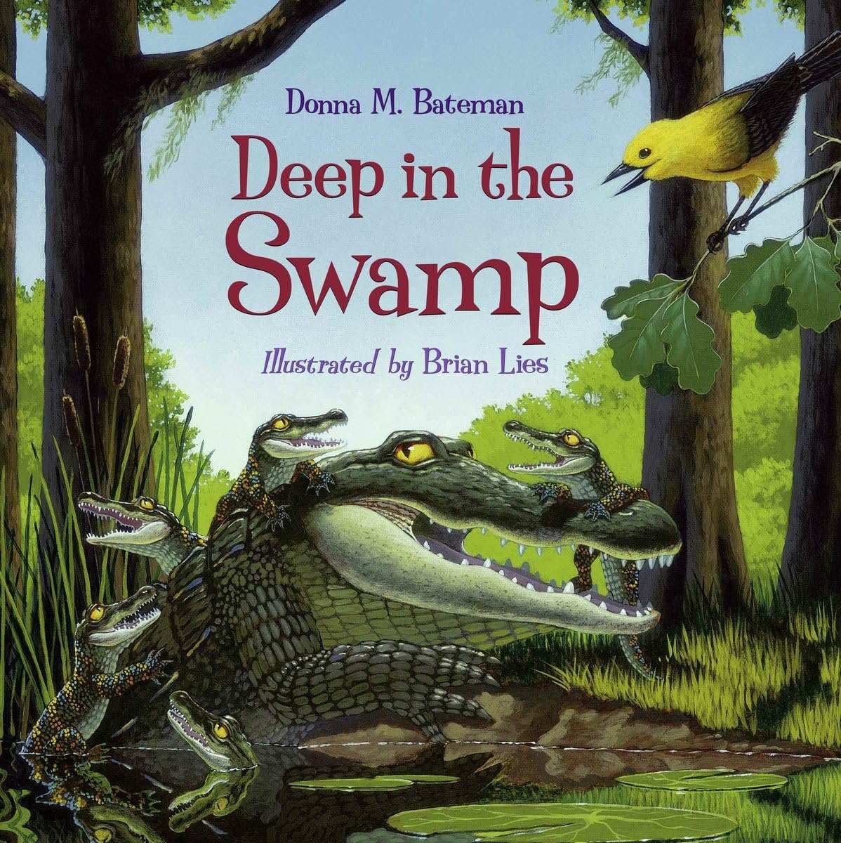 Deep in the Swamp,Used