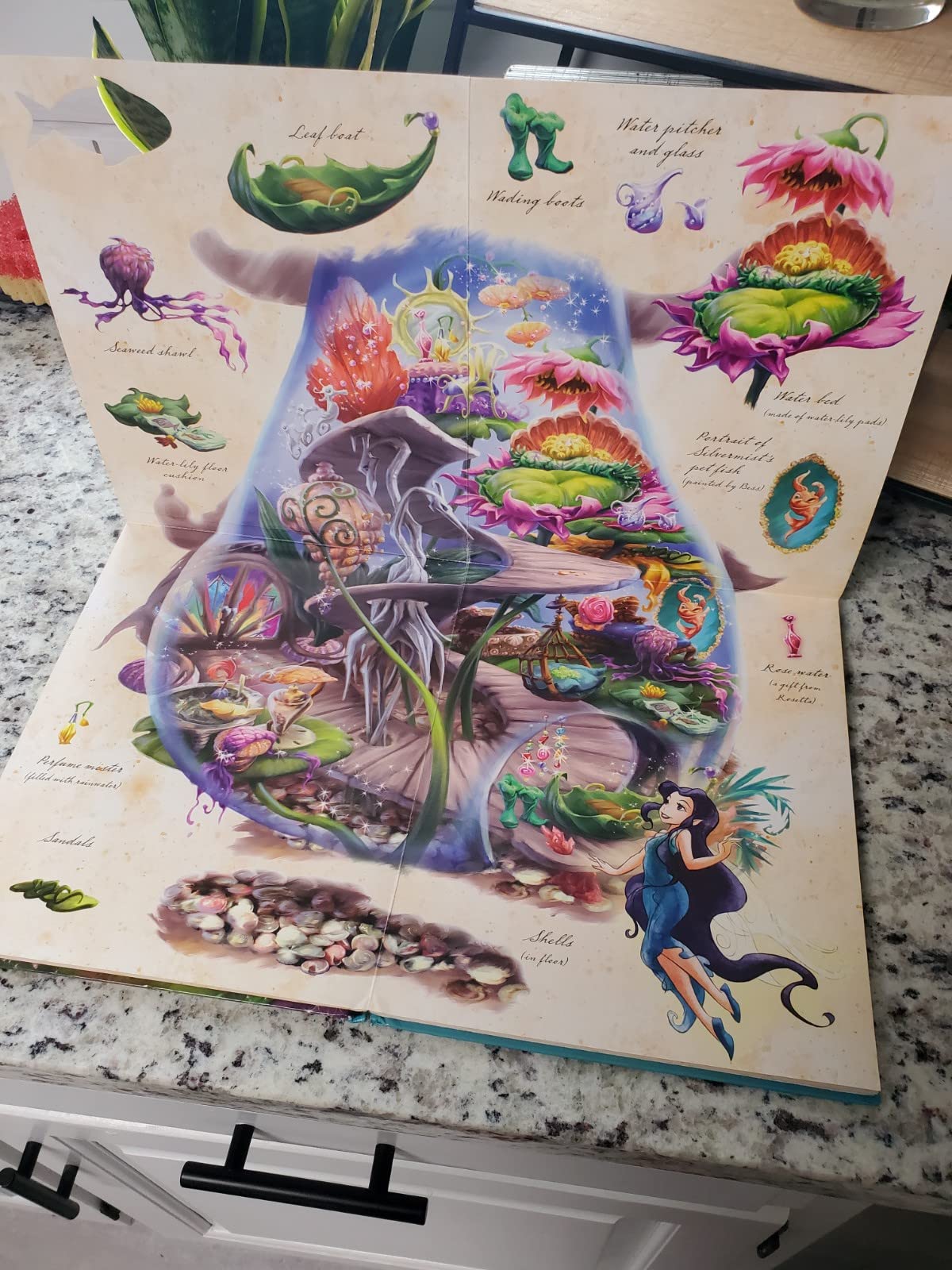 A Visit With the Fairies,Used