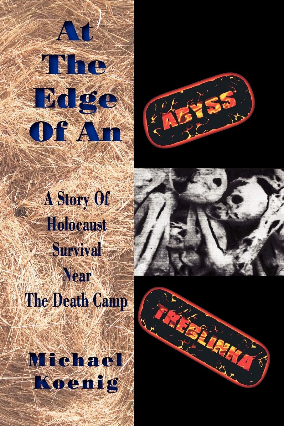 At The Edge Of An Abyss: A Story Of Holocaust Survival Near The Death Camp Treblinka (Remember The Holocaust),Used