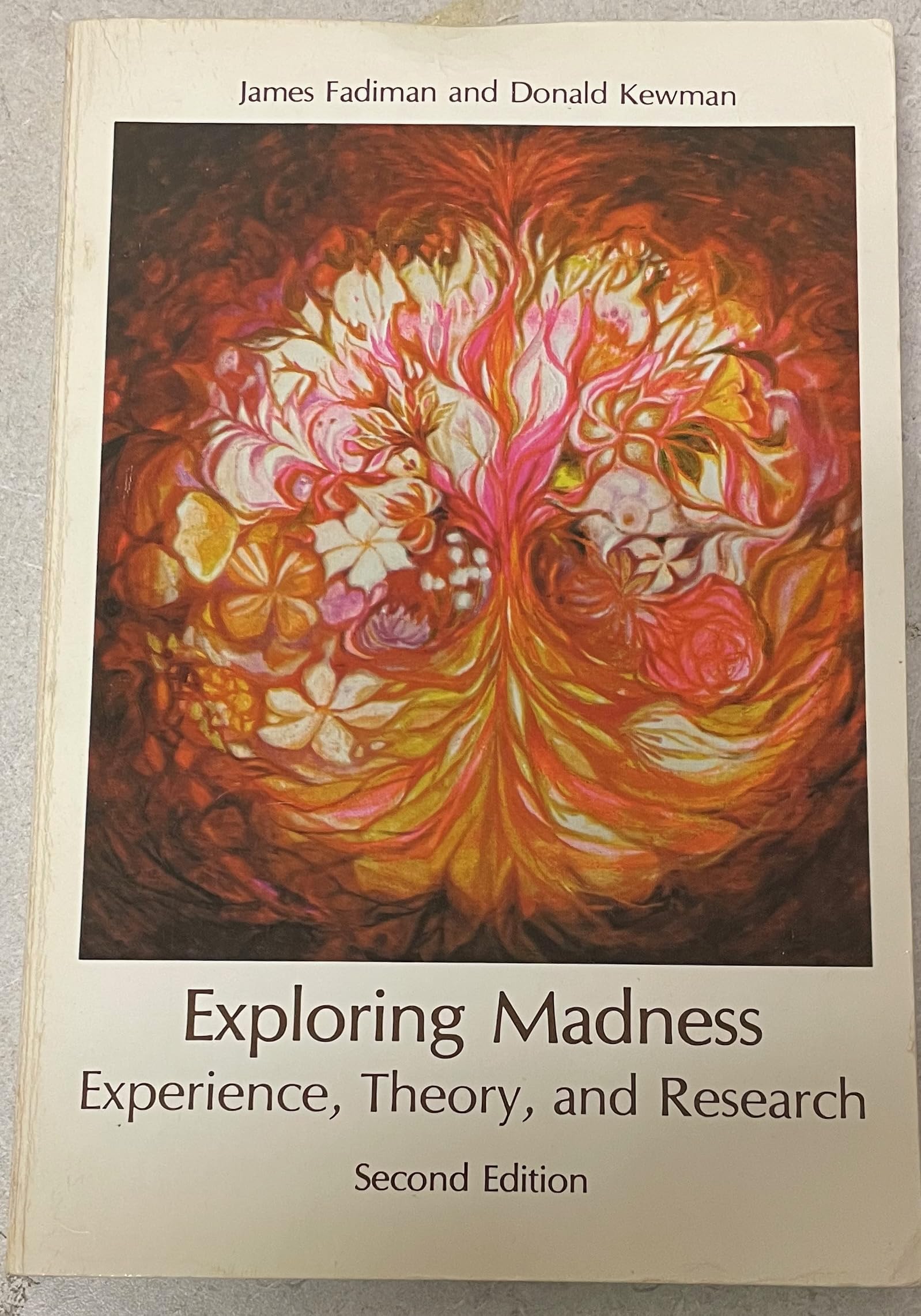 Exploring Madness: Experience, Theory, and Research,Used